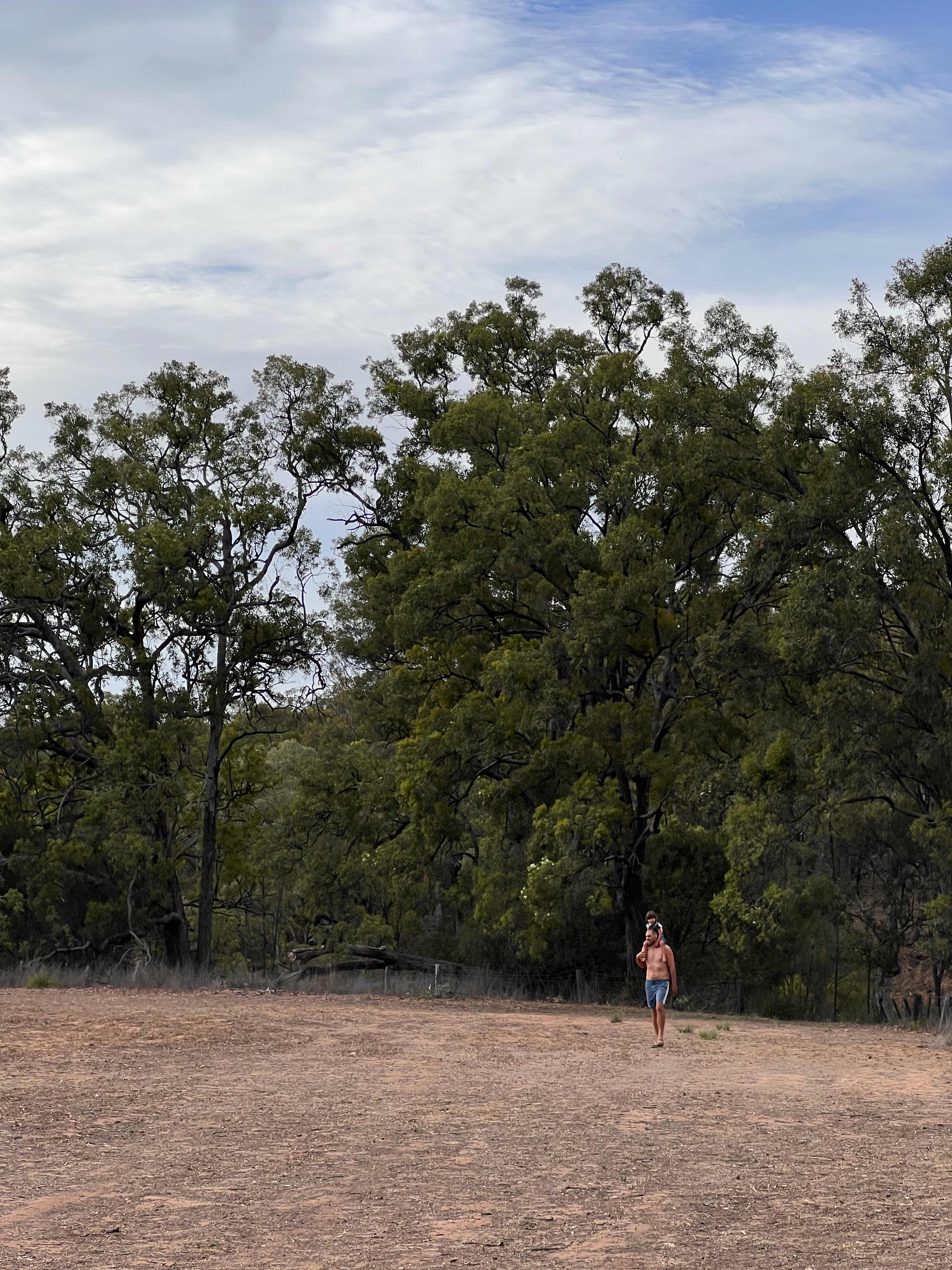 Hillside Camp on Bow River