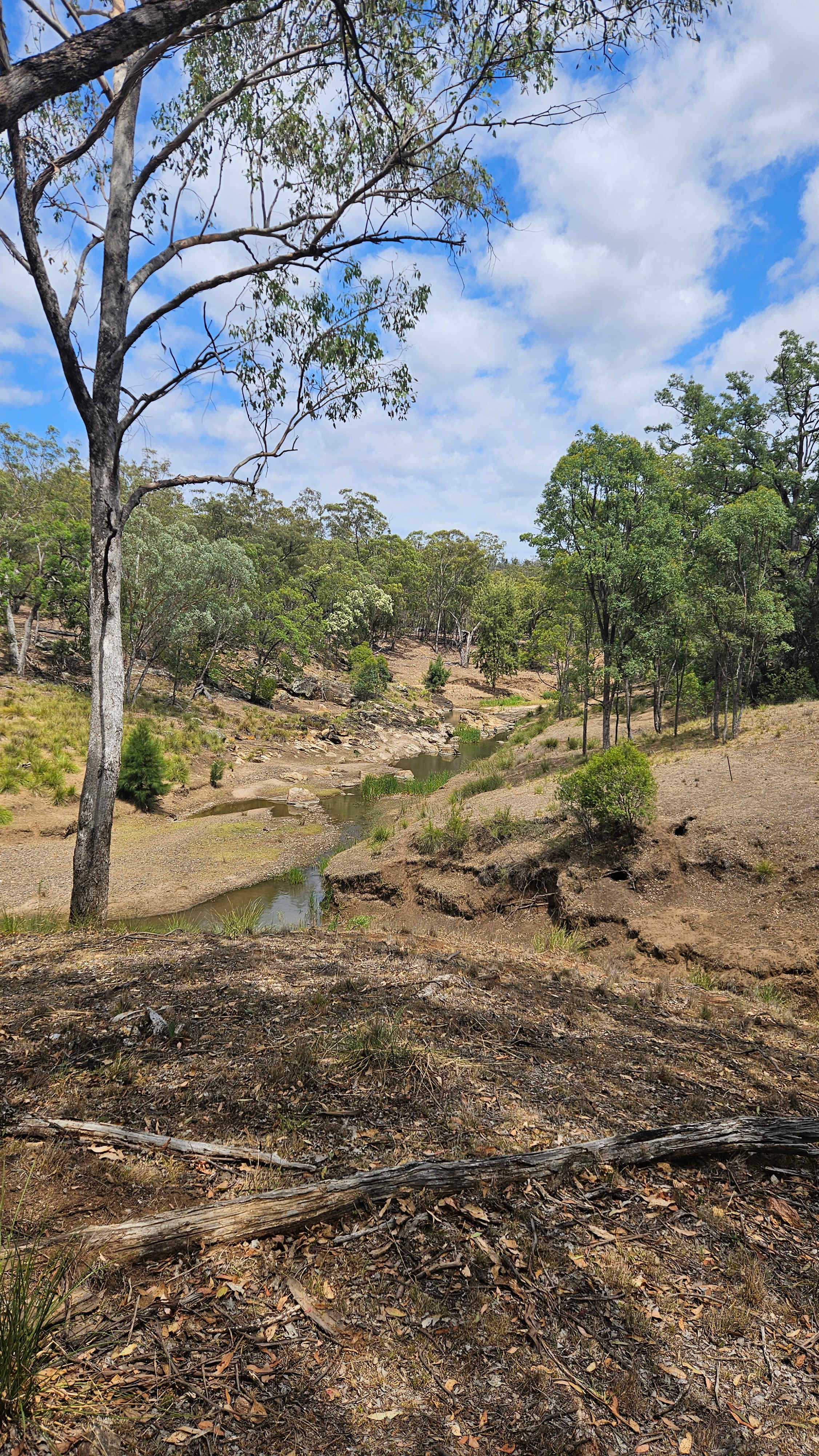 Hillside Camp on Bow River