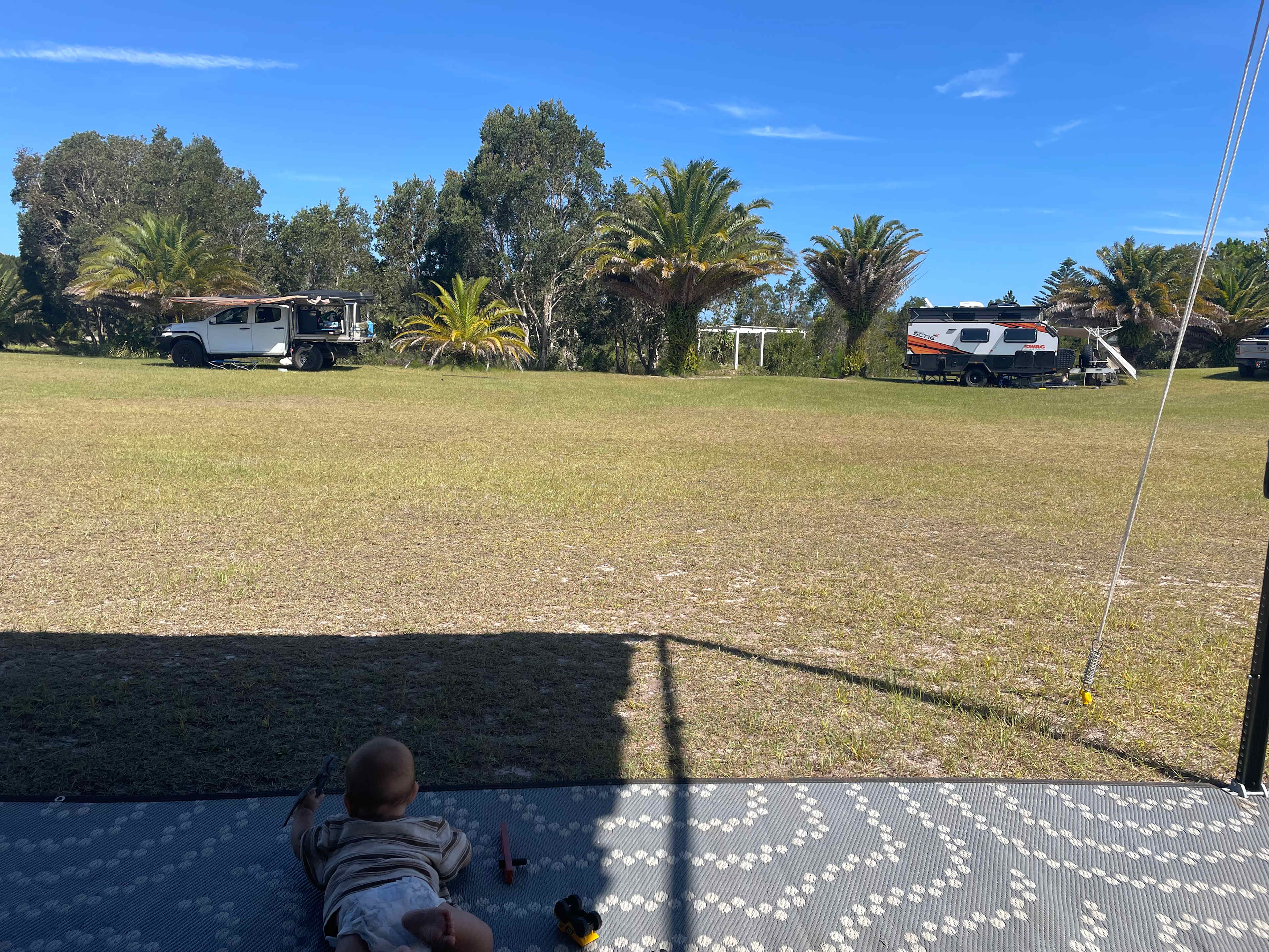 Beautiful trees all around