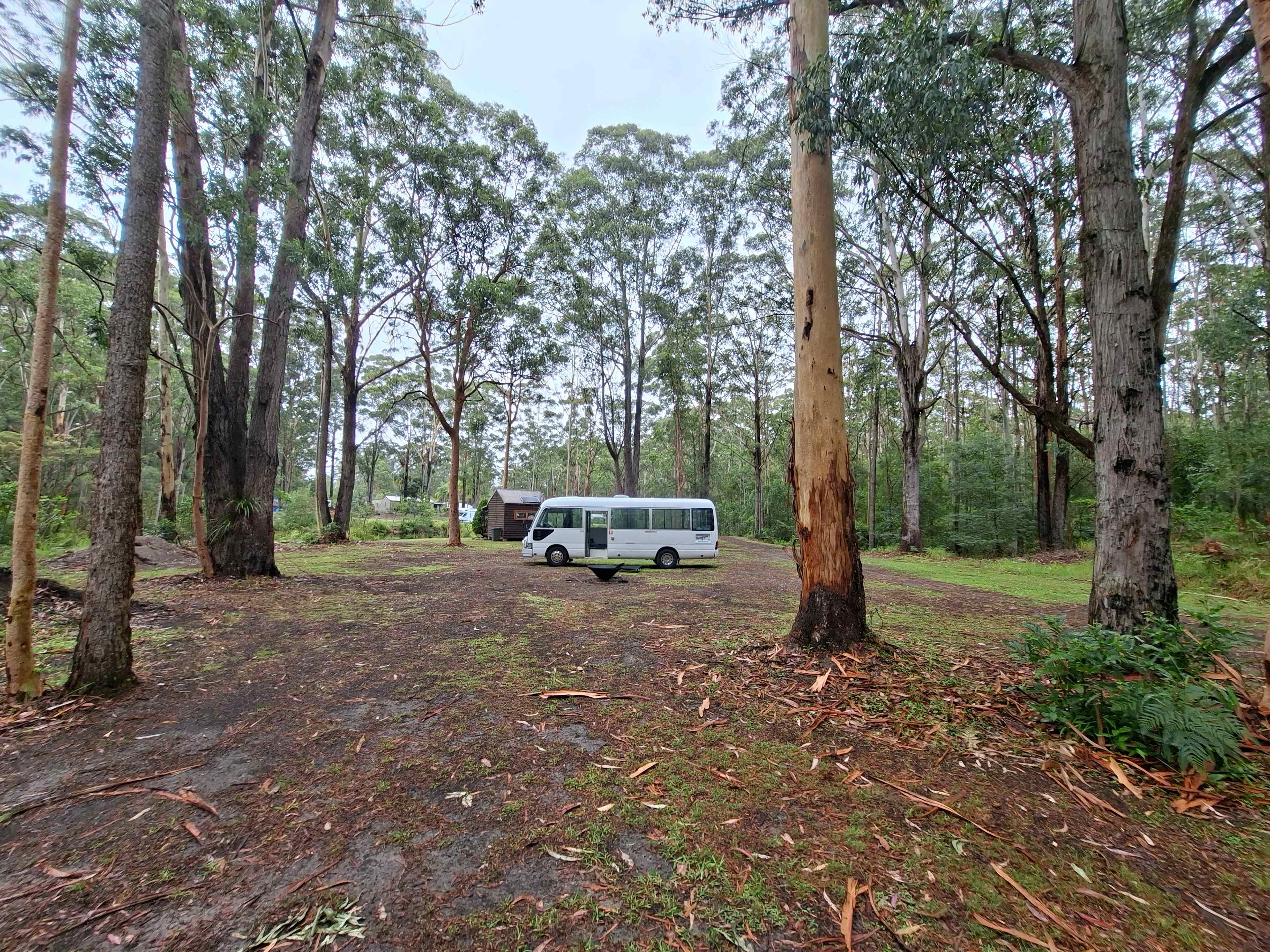 Mistinthegumtrees BUDGET 2 GLAMPING