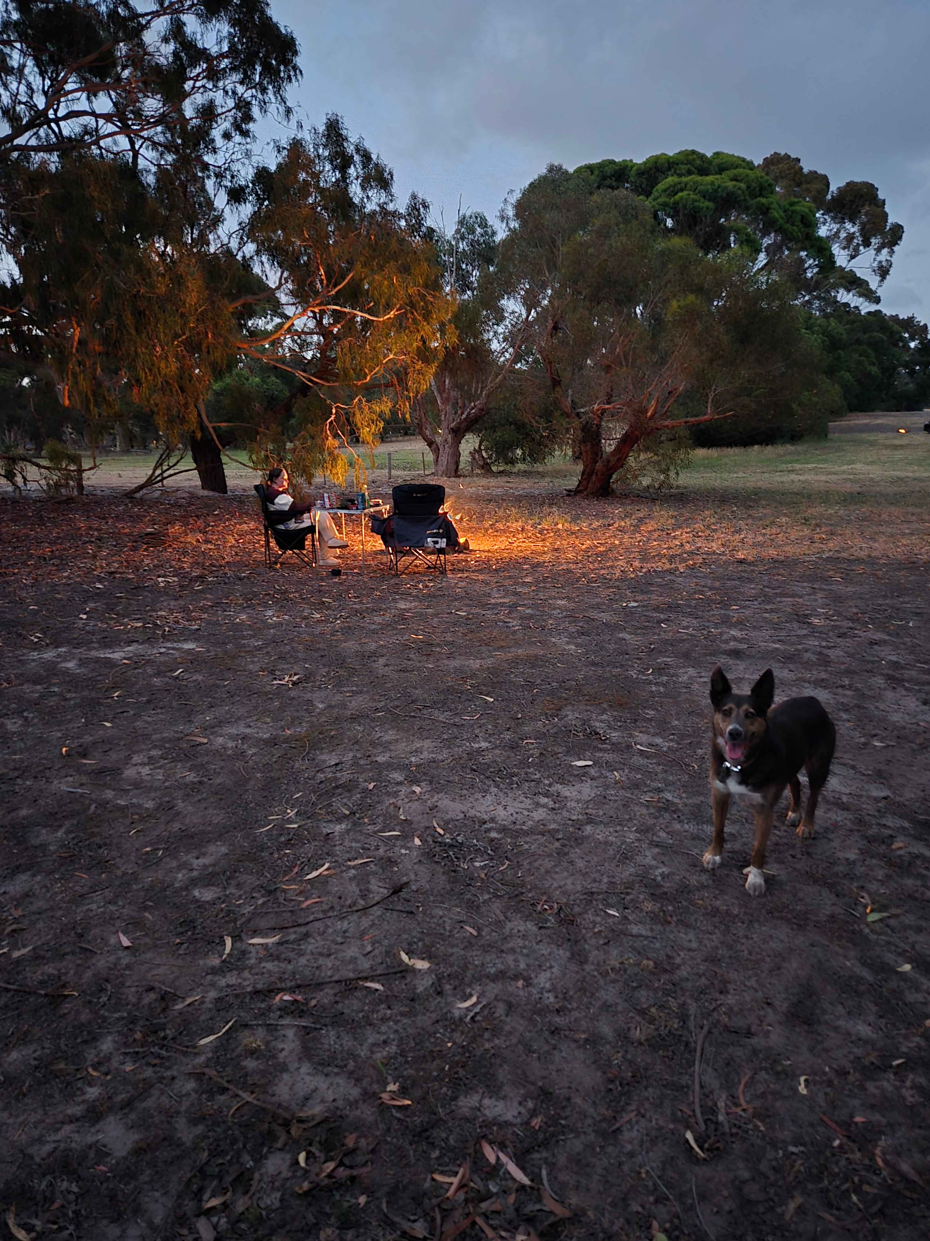 Afton Park - Heart of the Bellarine
