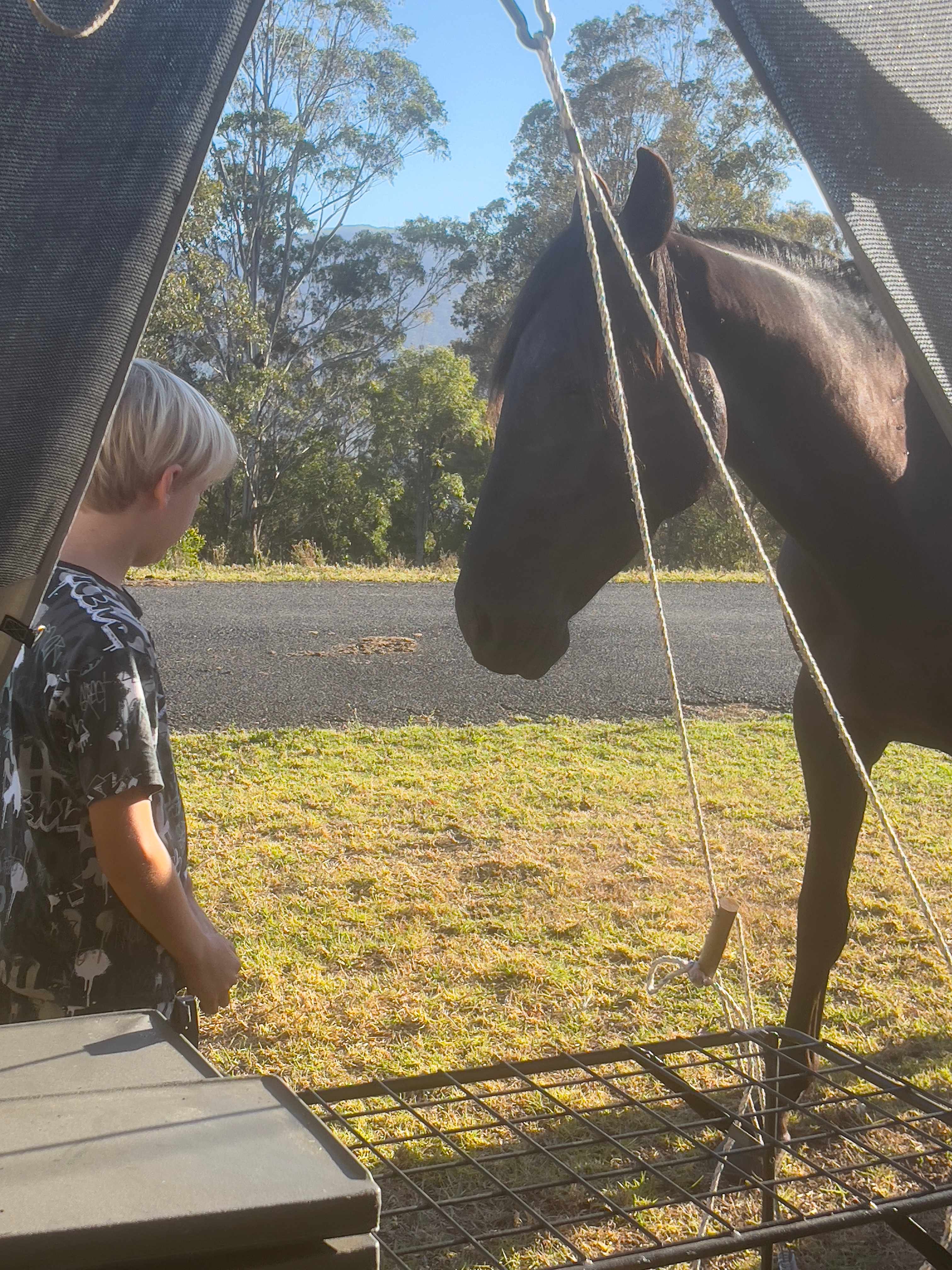 Bega Valley and Mountain Views