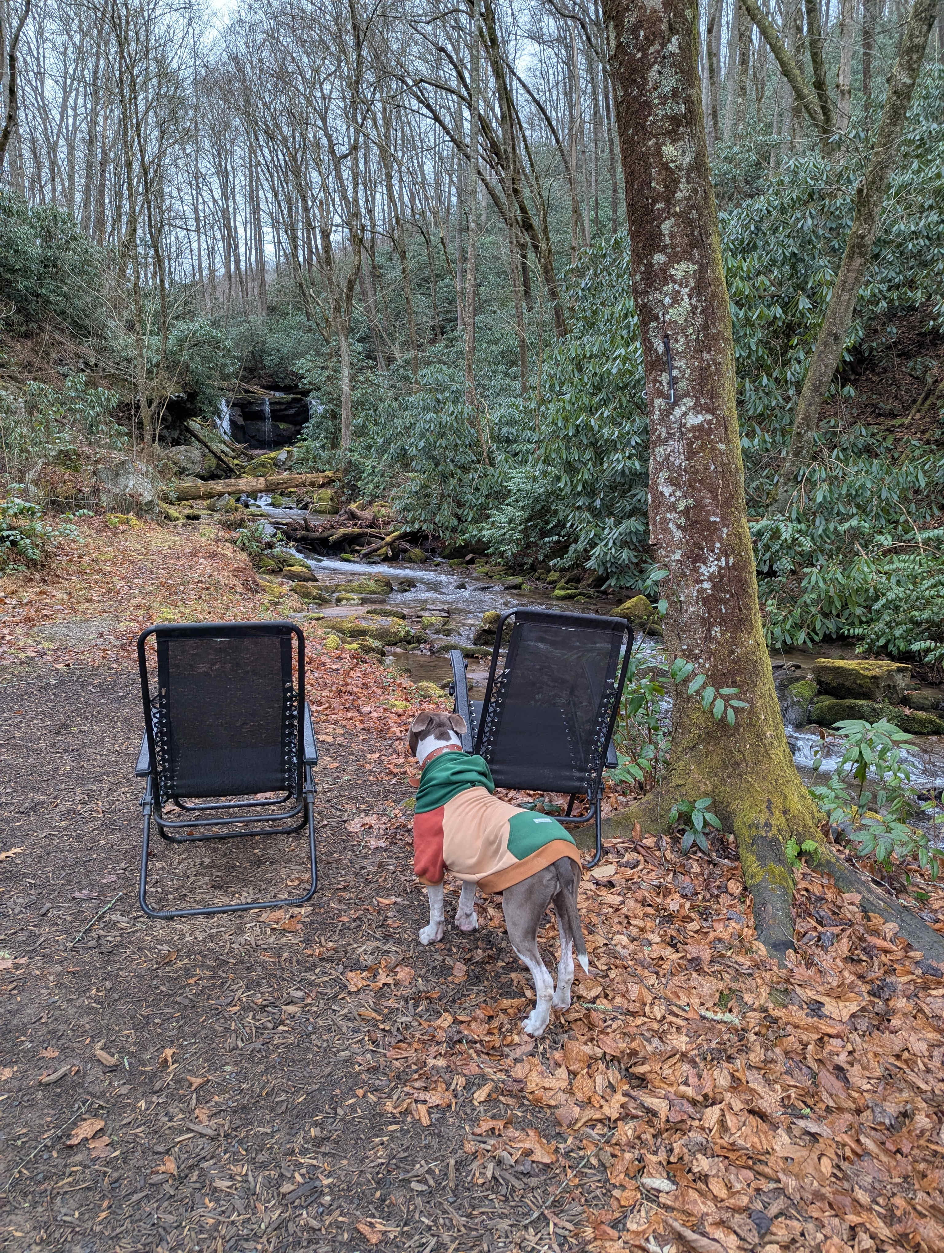 Cherokee Waterfall Campground