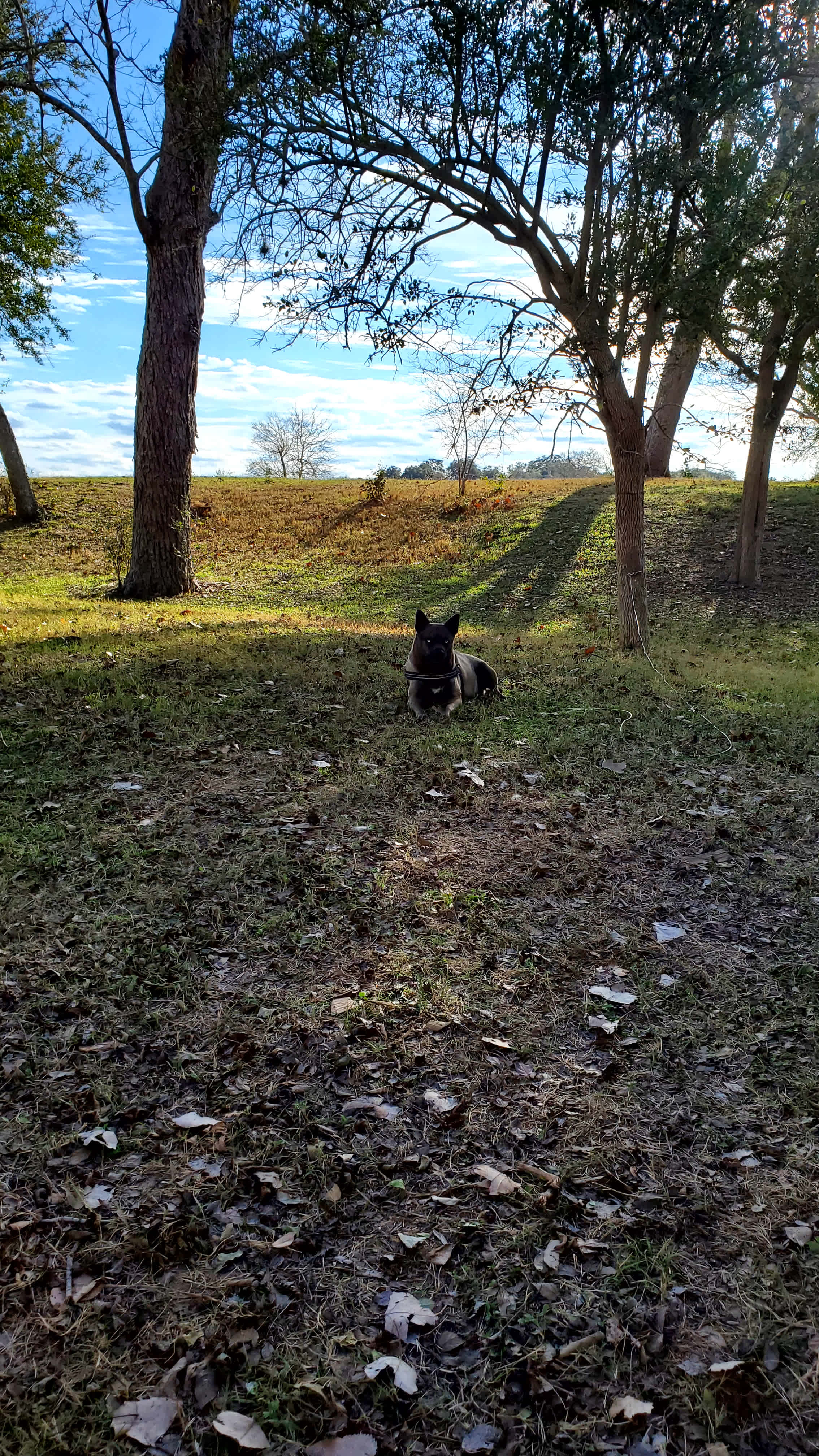 River Creek Campgrounds