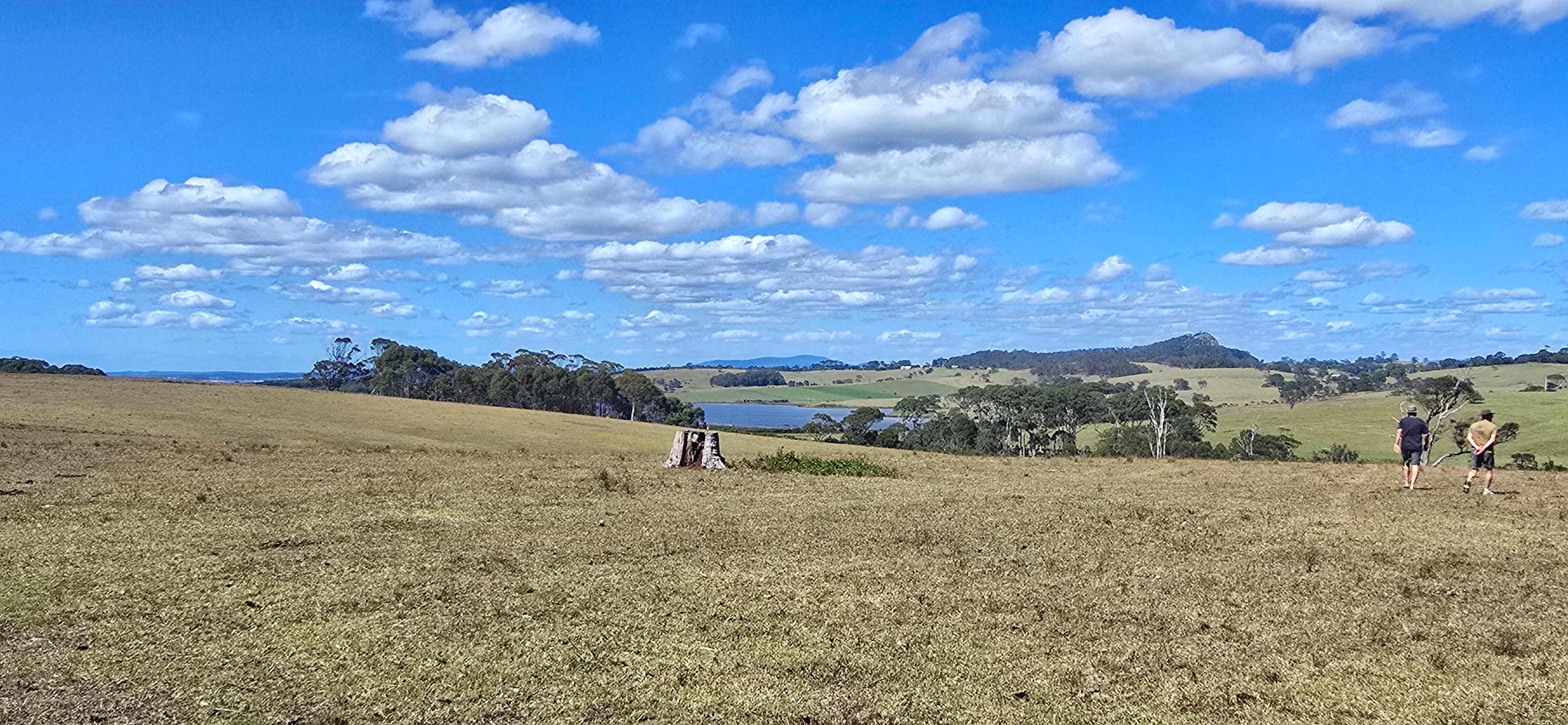 Figtree Camp @ Mystery Bay