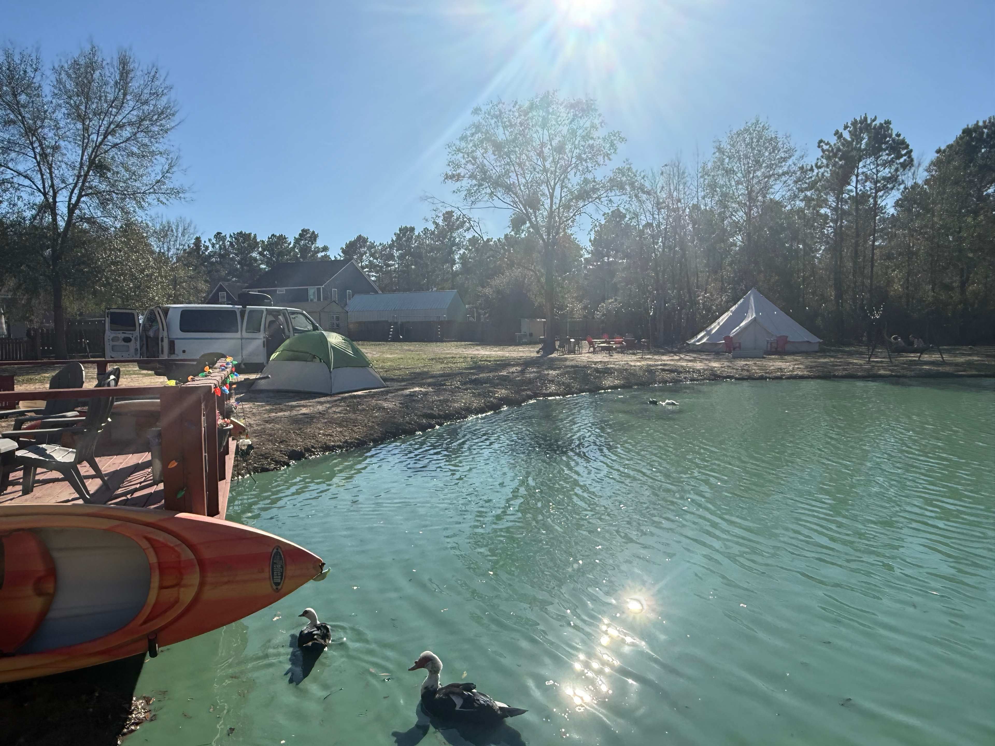 Big City Little Farm