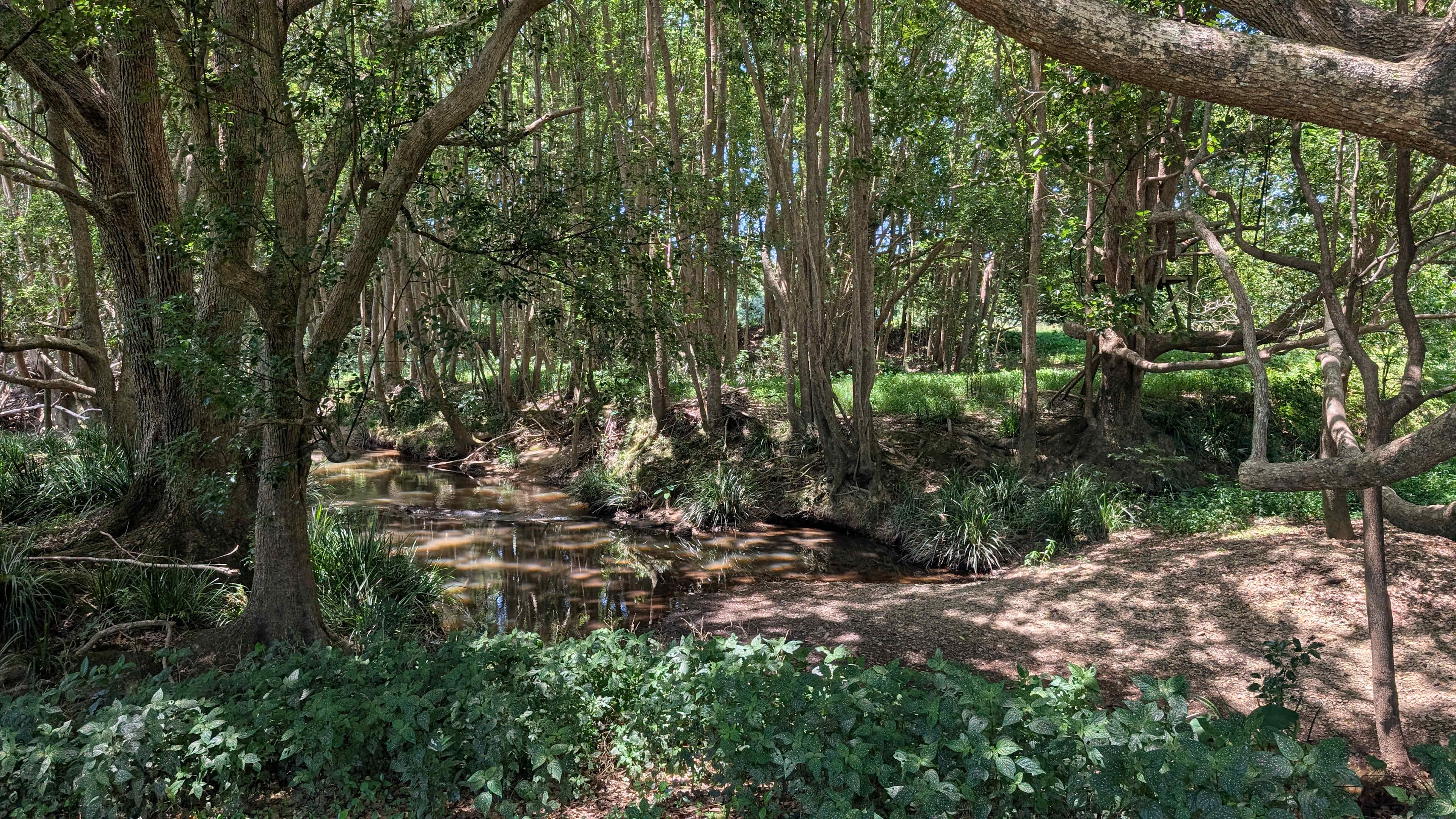 Stokers Creekside Stay