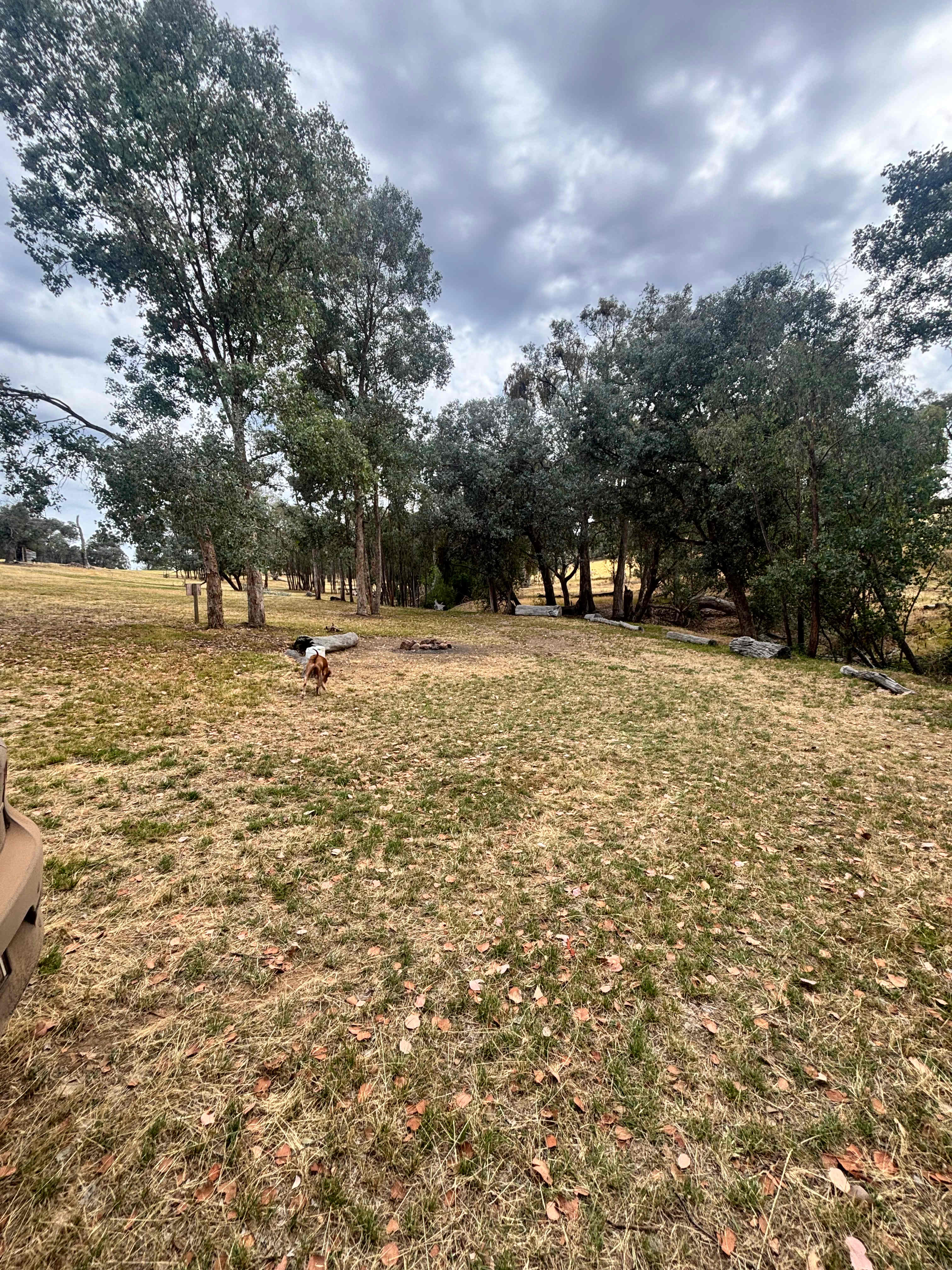 Thornbridge near Wineries, Lakes