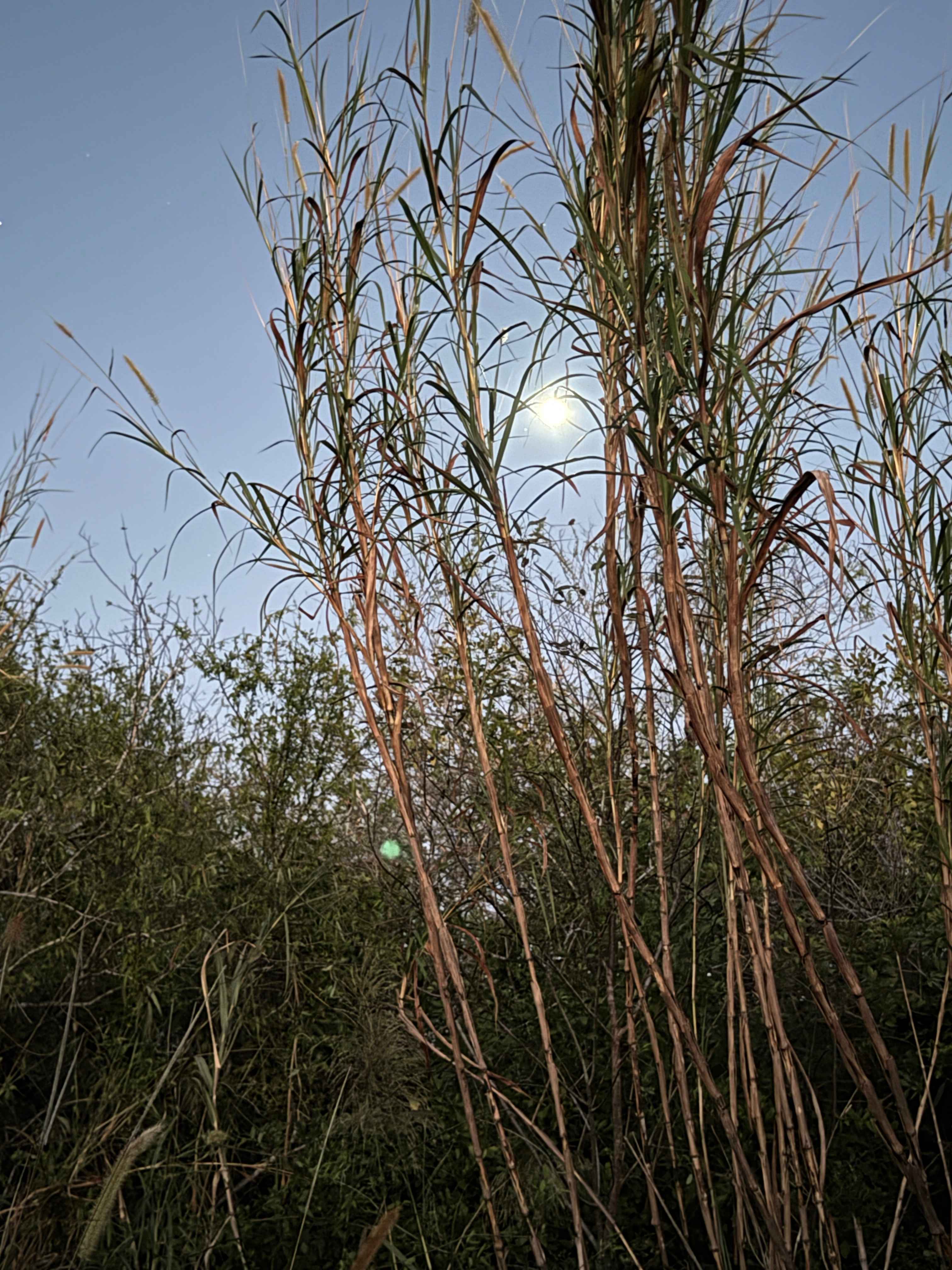 Gods Country in Miami