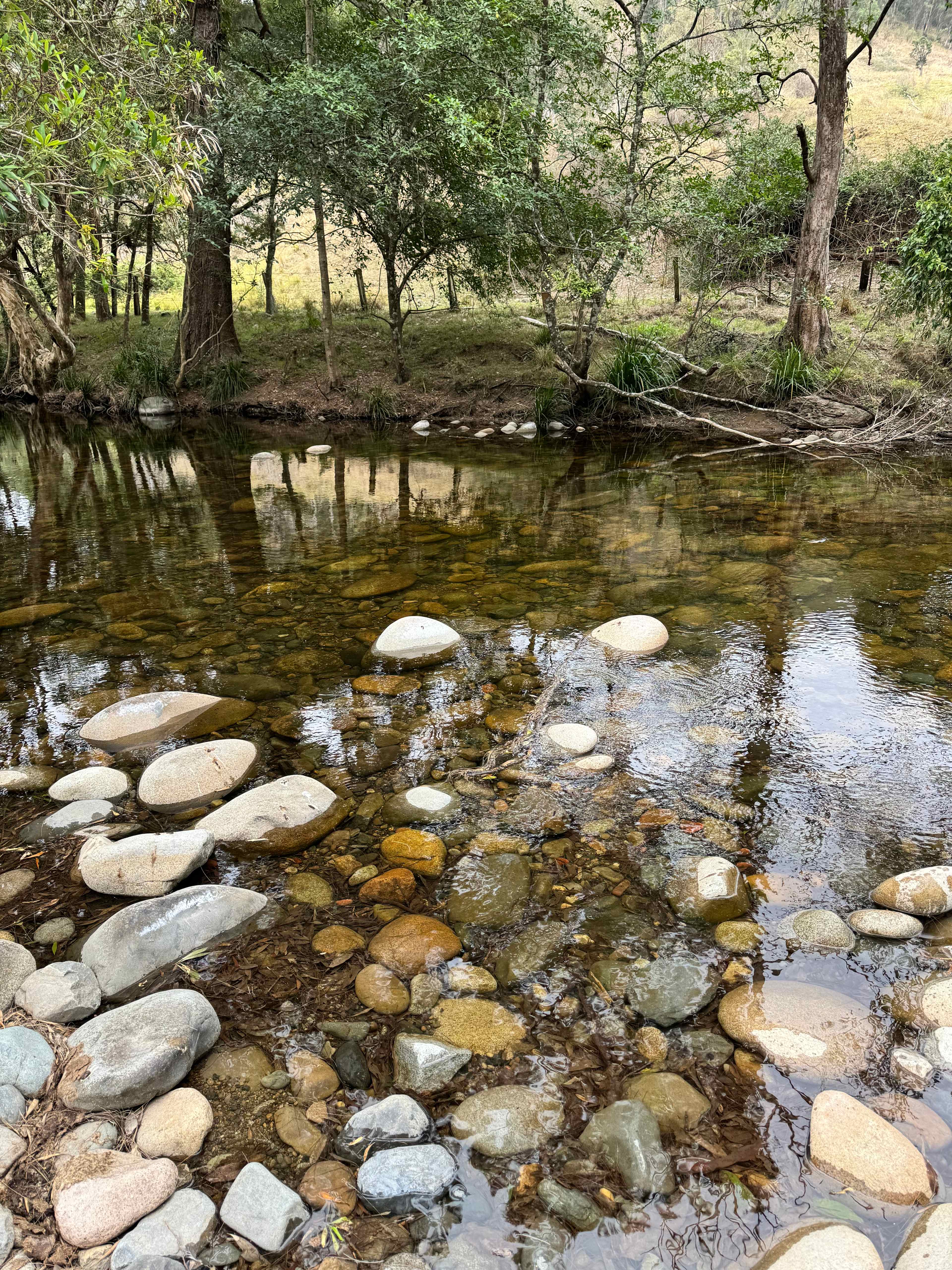 River Front Campsites