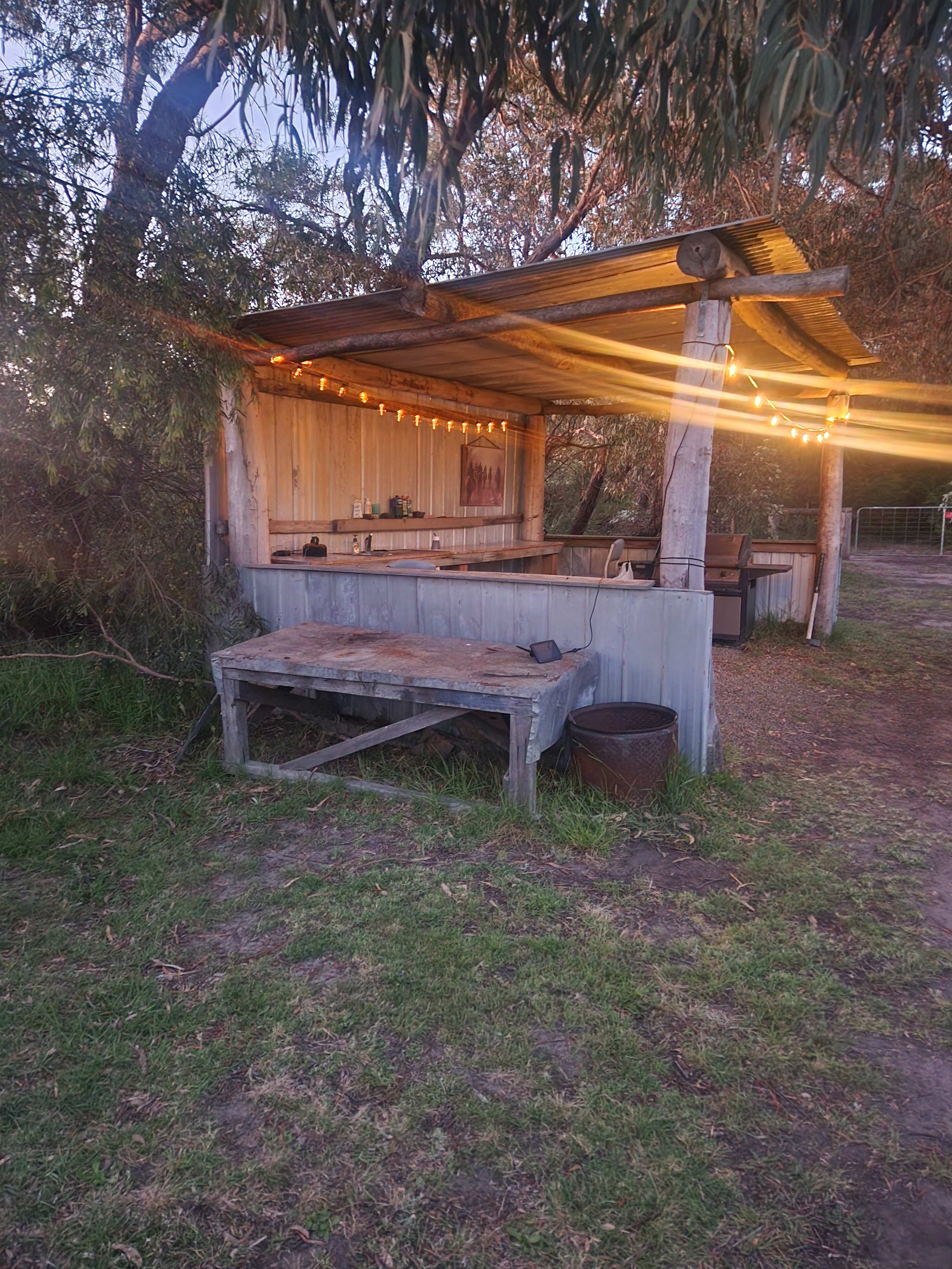 Mt Alfred Camping and Horse Riding