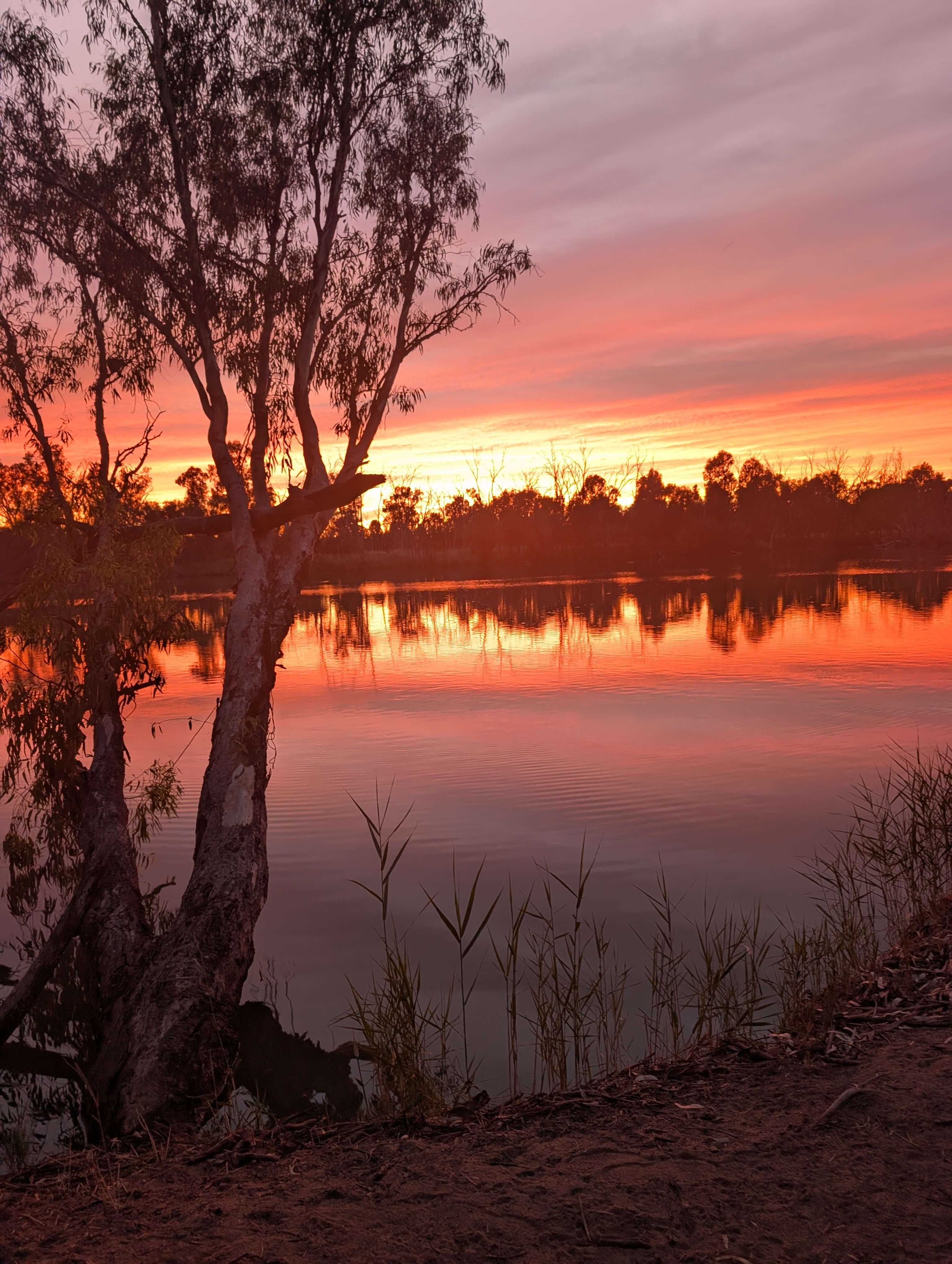 Rondel River Reserve