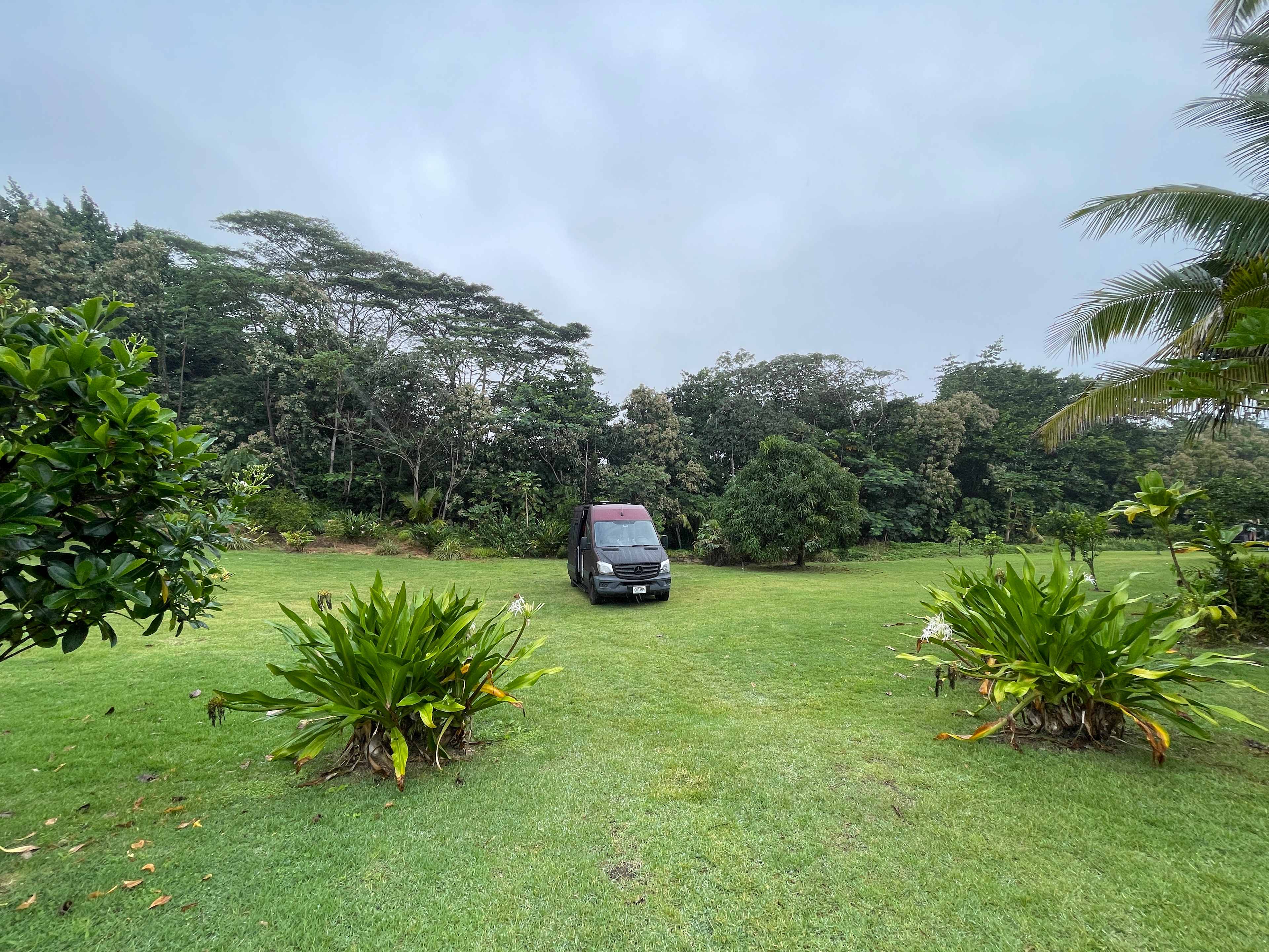 Wild Blue Water Ranch