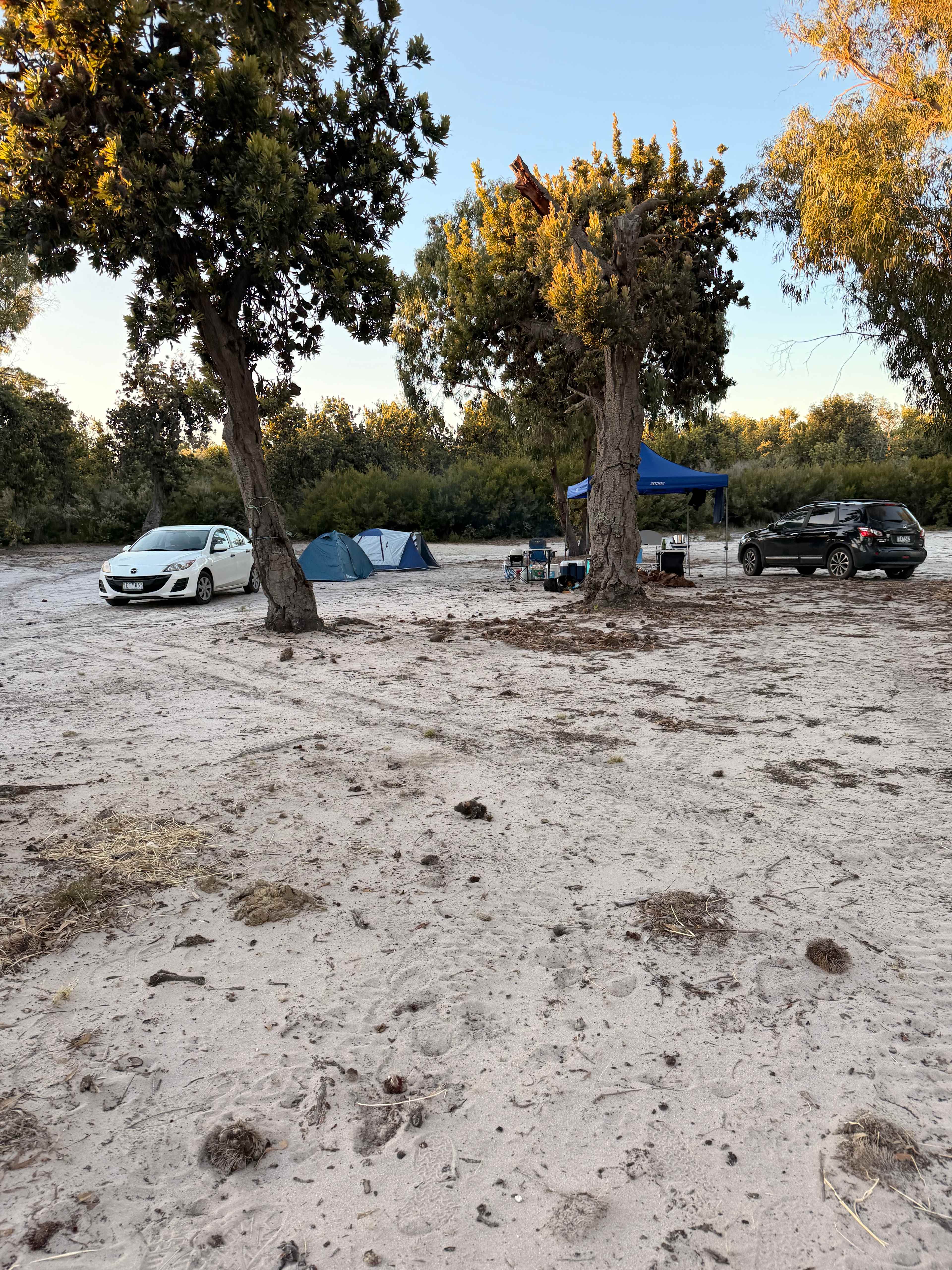 Roseneath Holiday Park