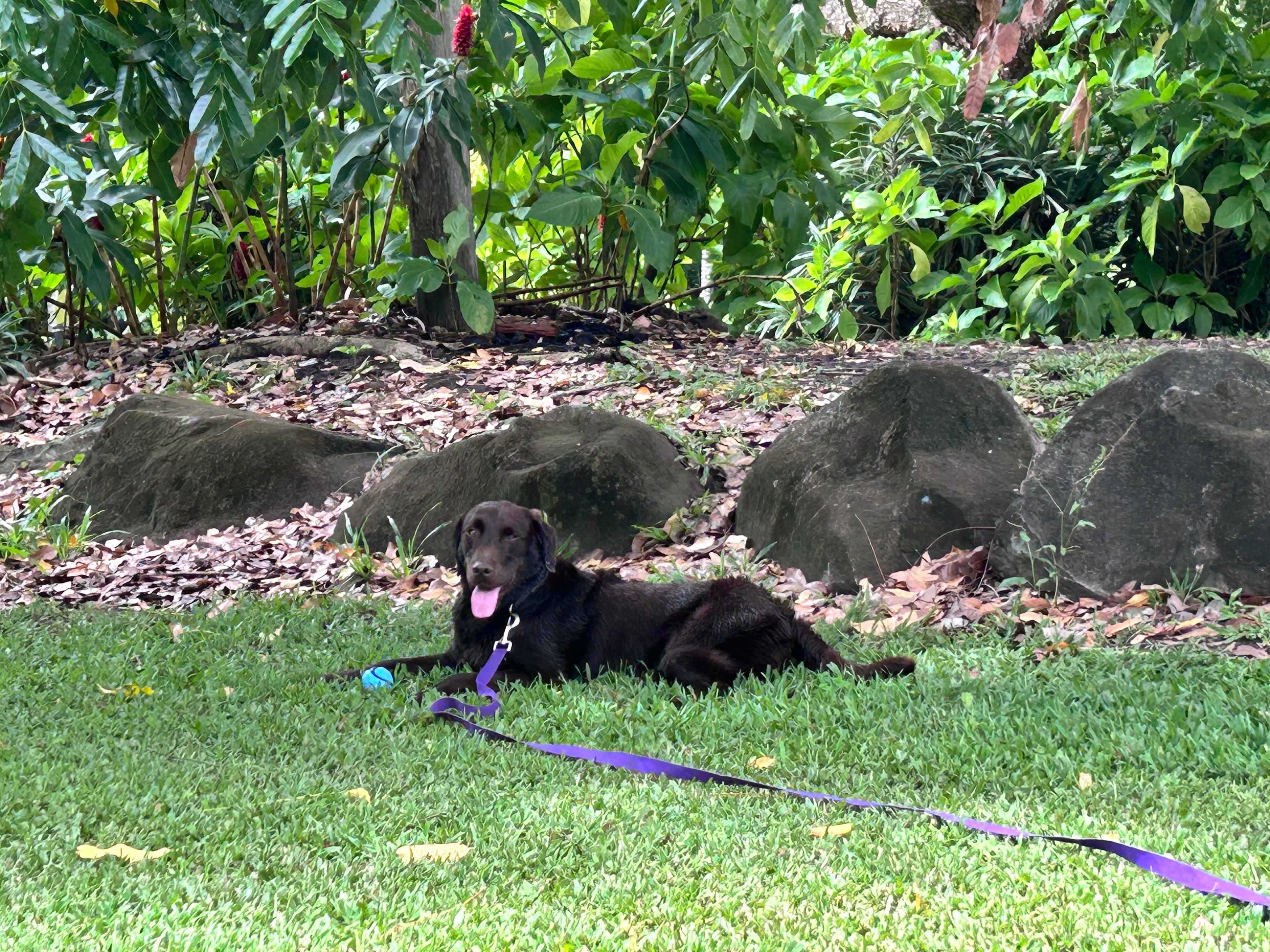 Forest Fields Campstay