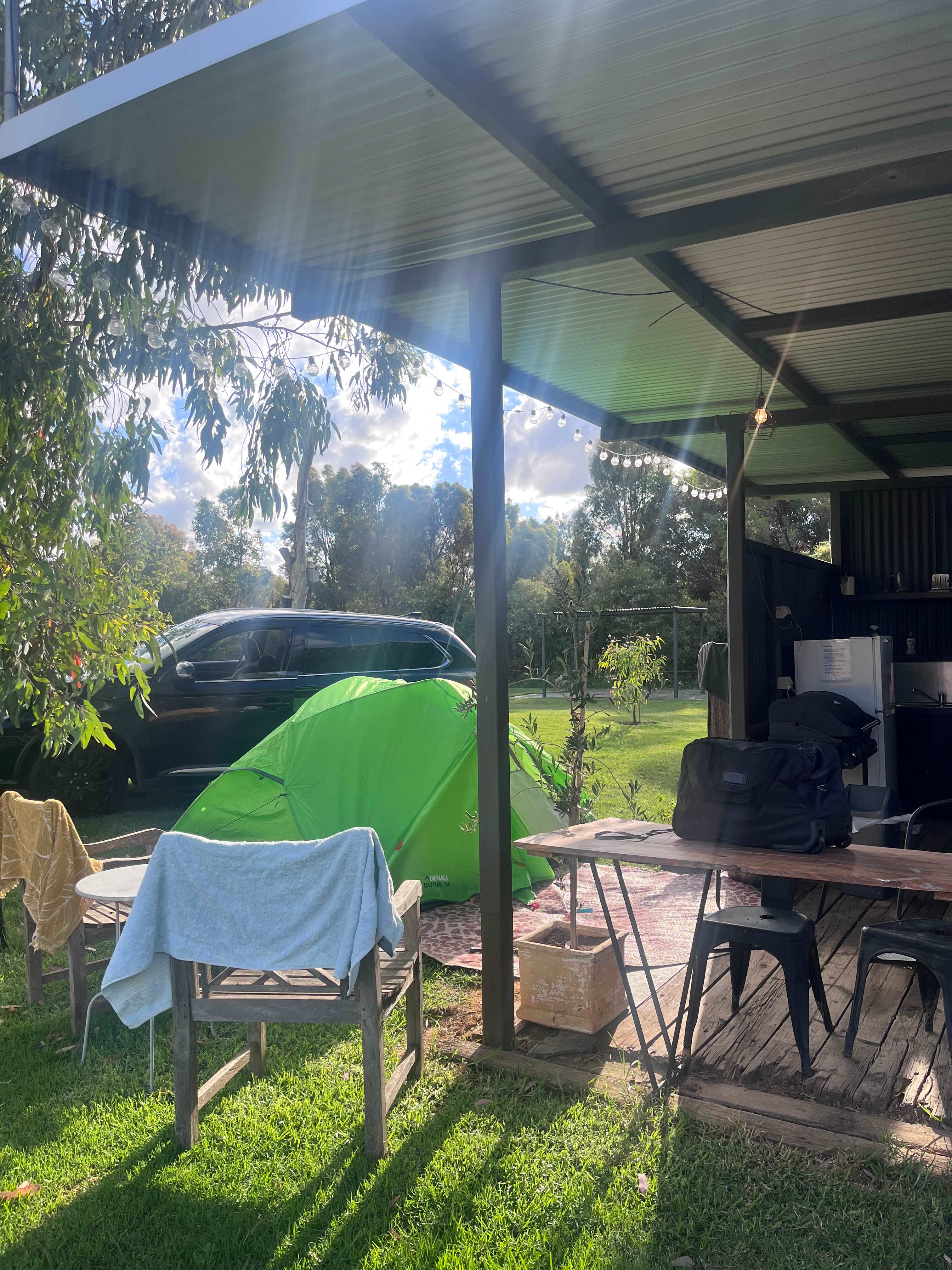 Window to the Wetlands