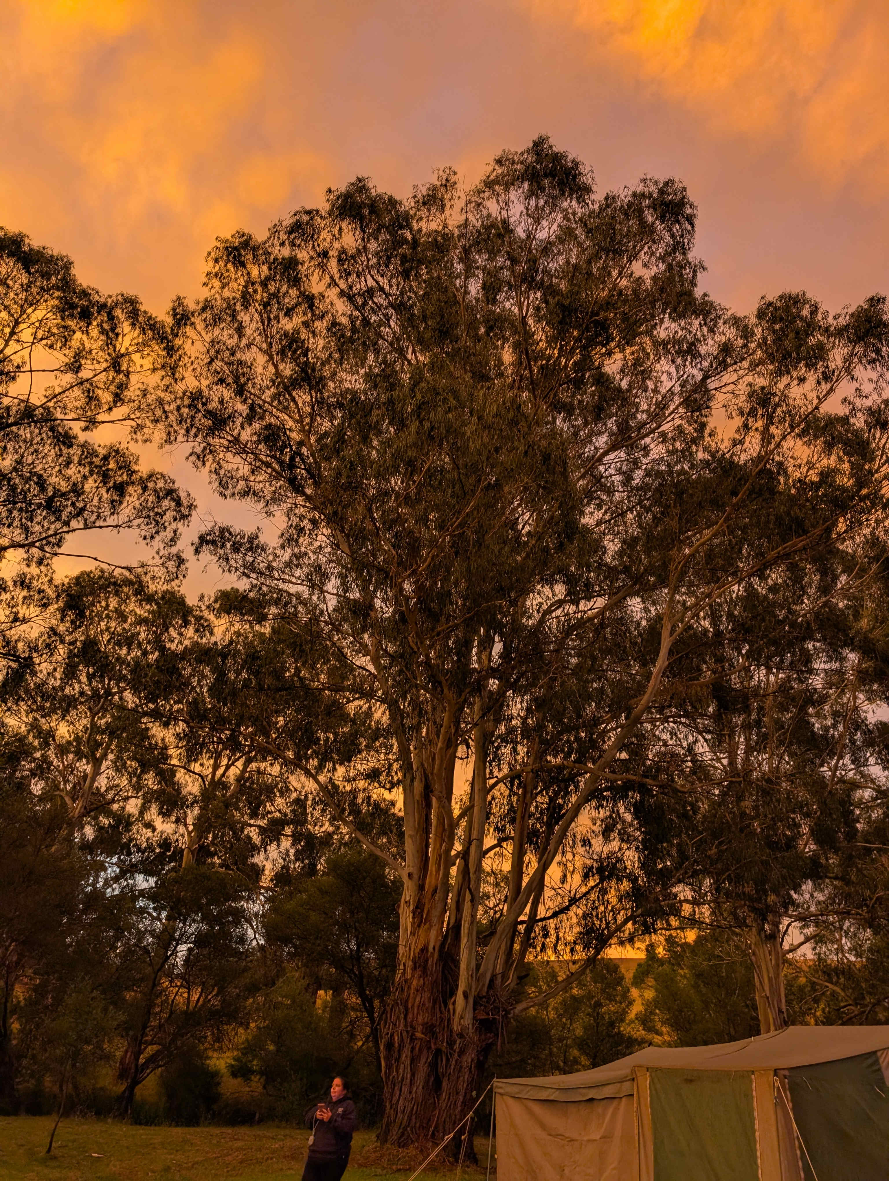 Strath Creek Station