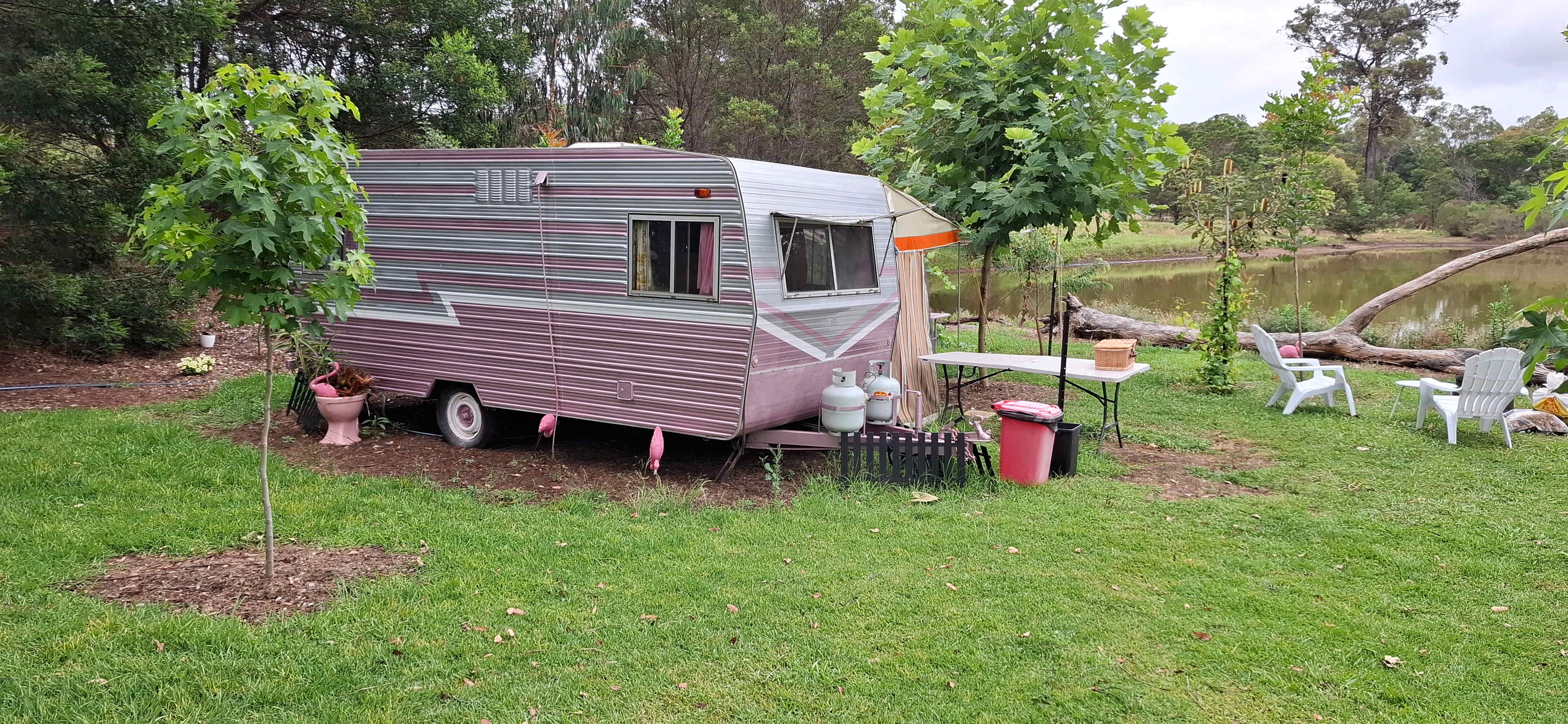 Silky Oaks Flower Farm