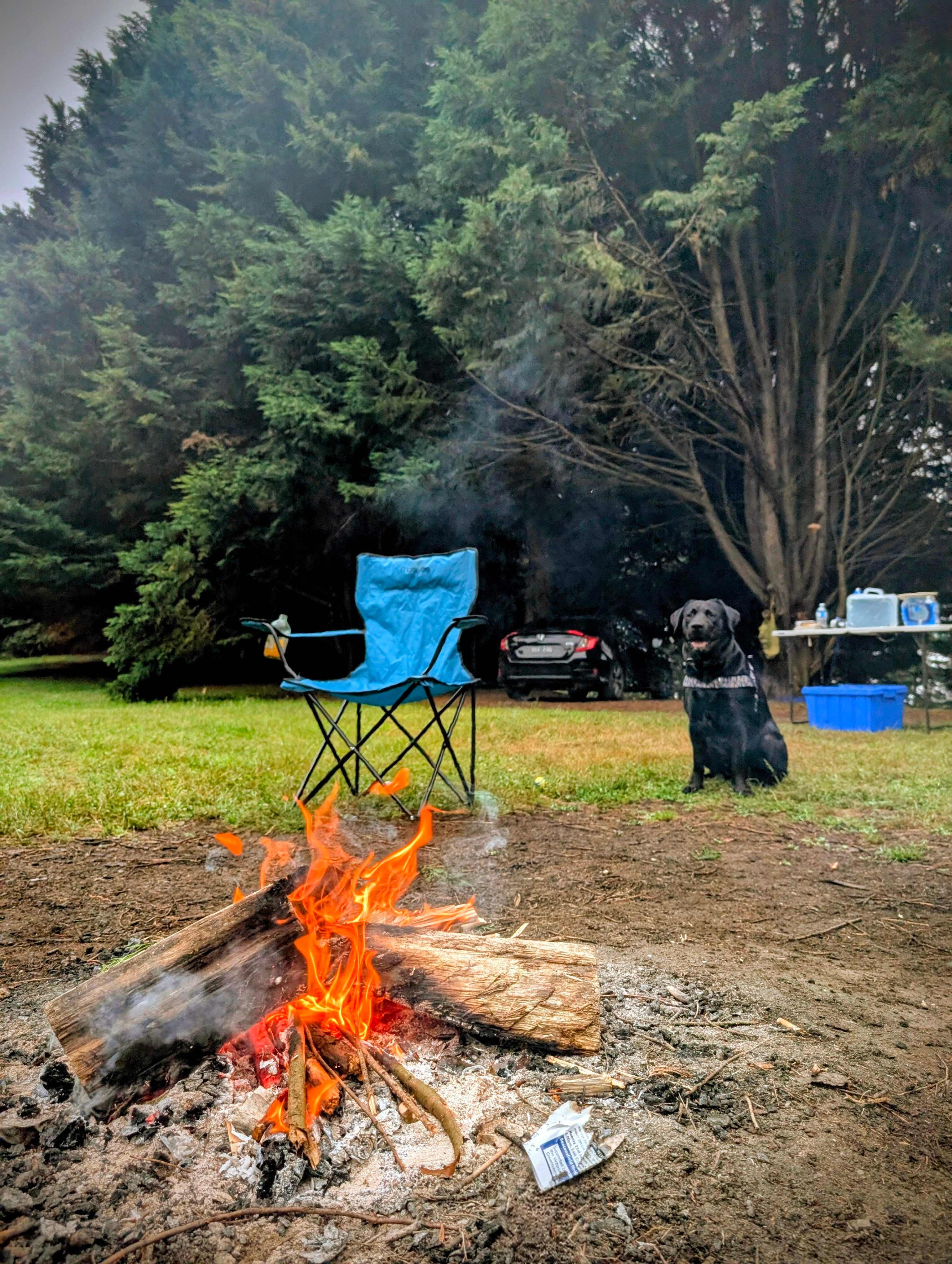 Waldheim - Our Home in the Forest