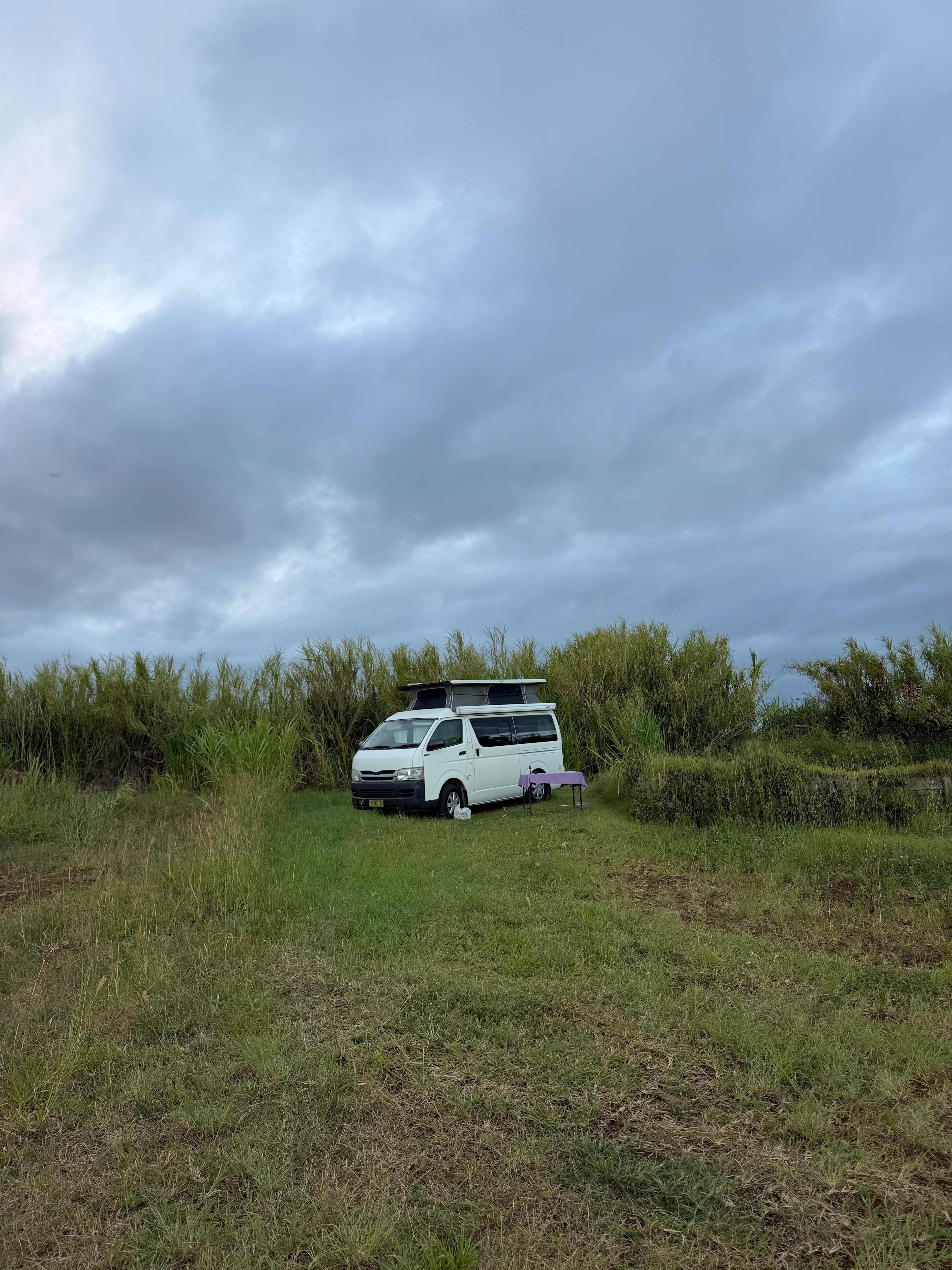 the wind dancing through the reeds was soothing 