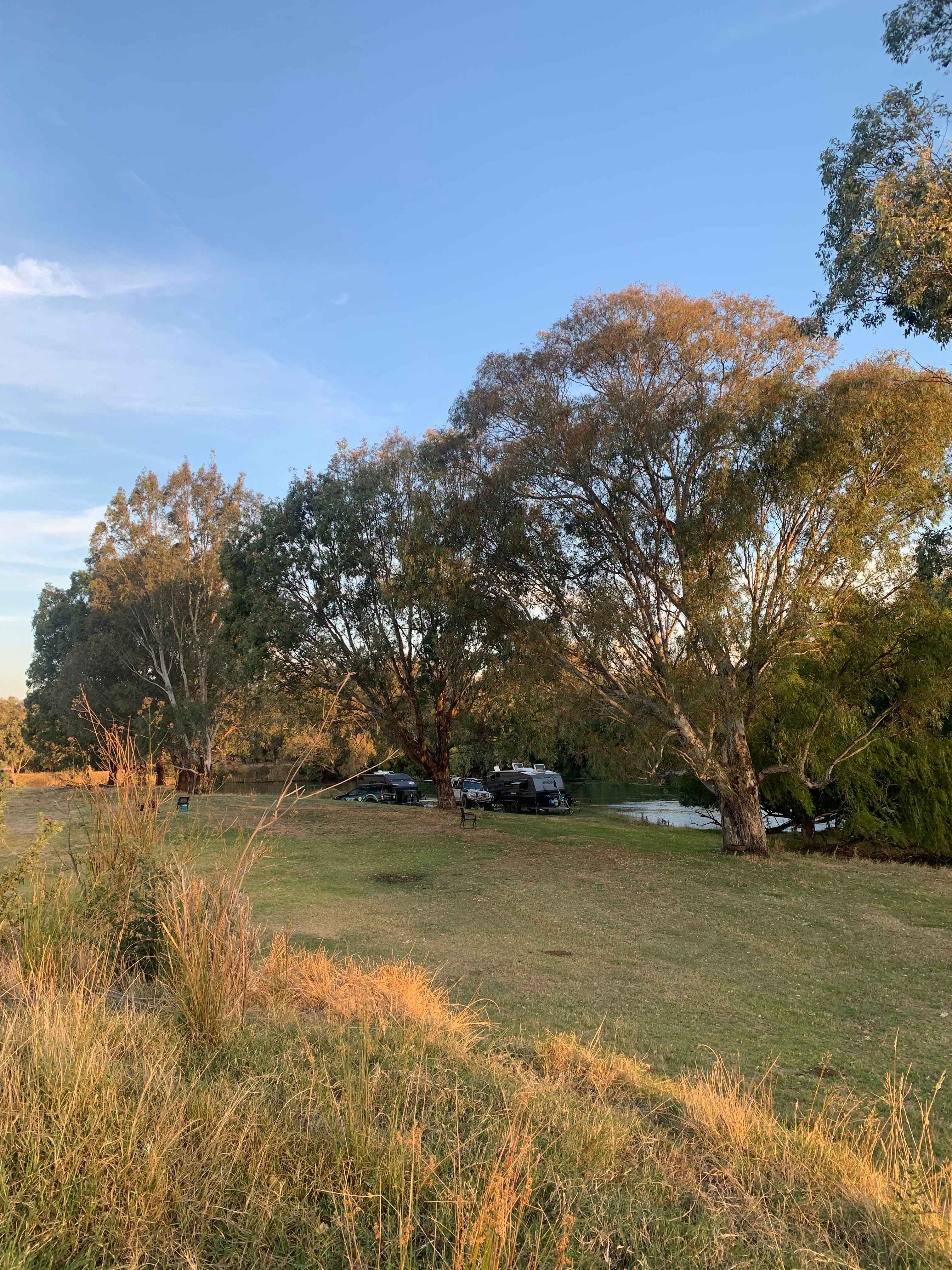 Willowbank on the Murray