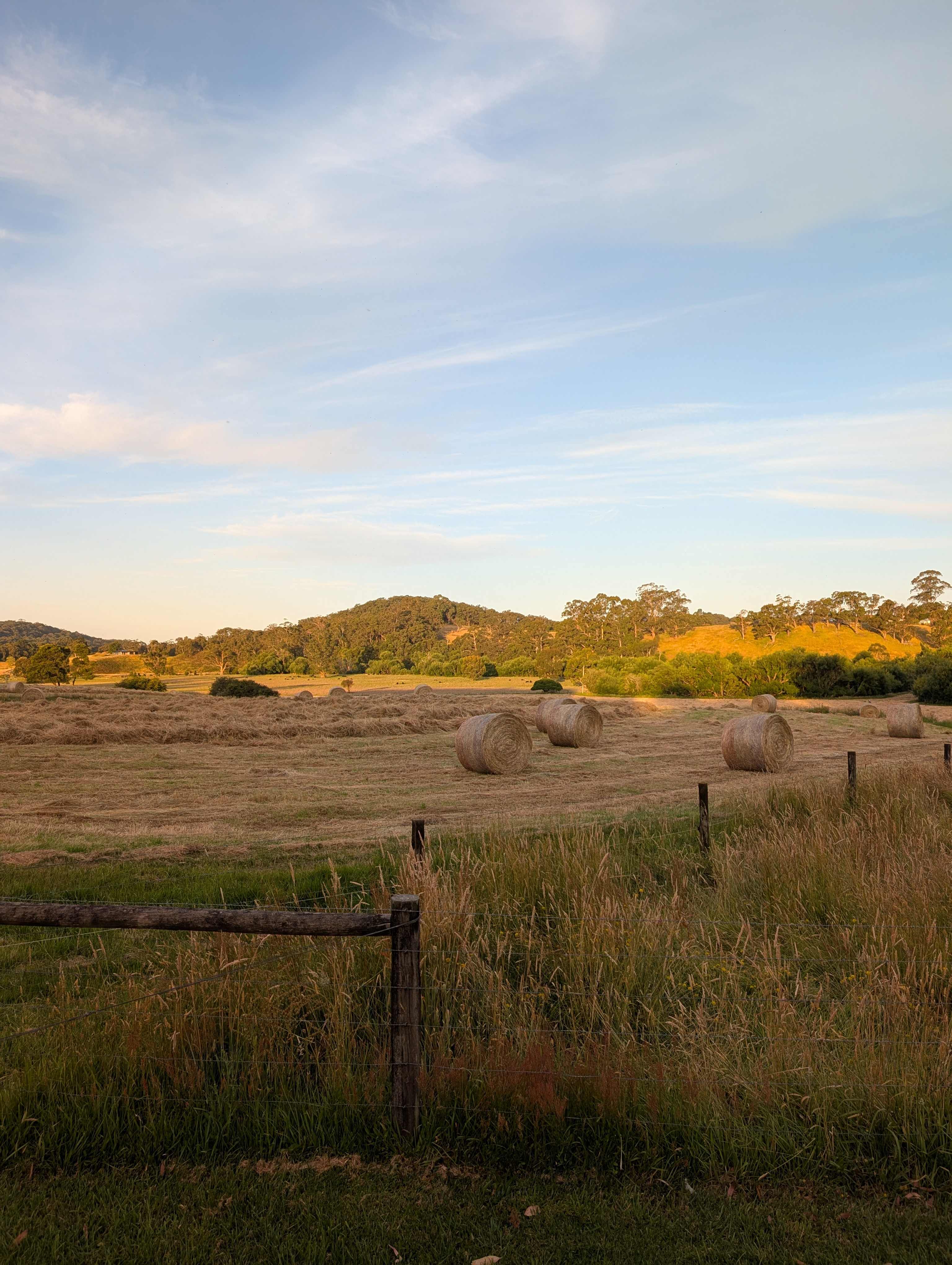 Forrest Holiday Park