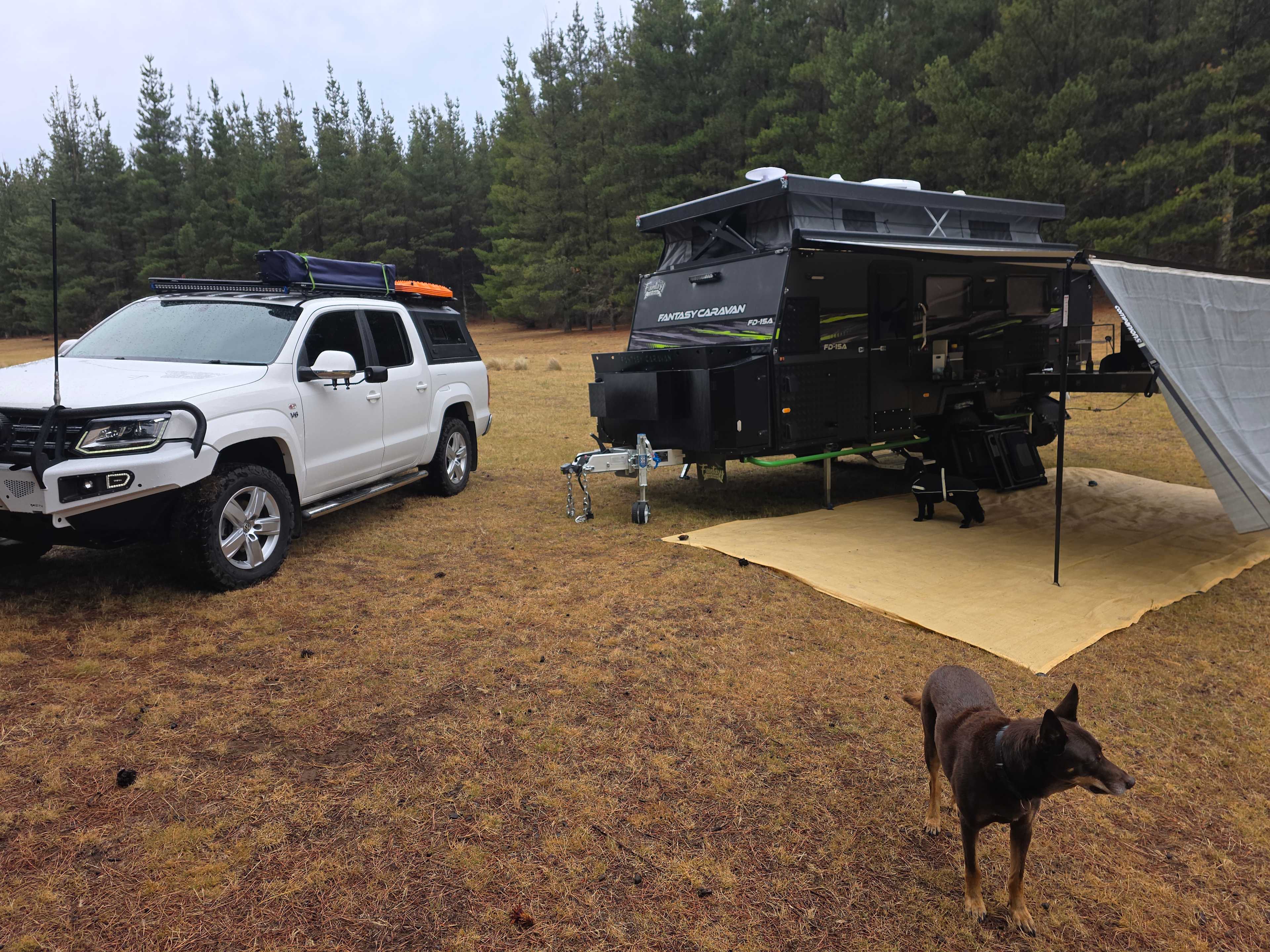 Wombat Pines - Glamping and Camping