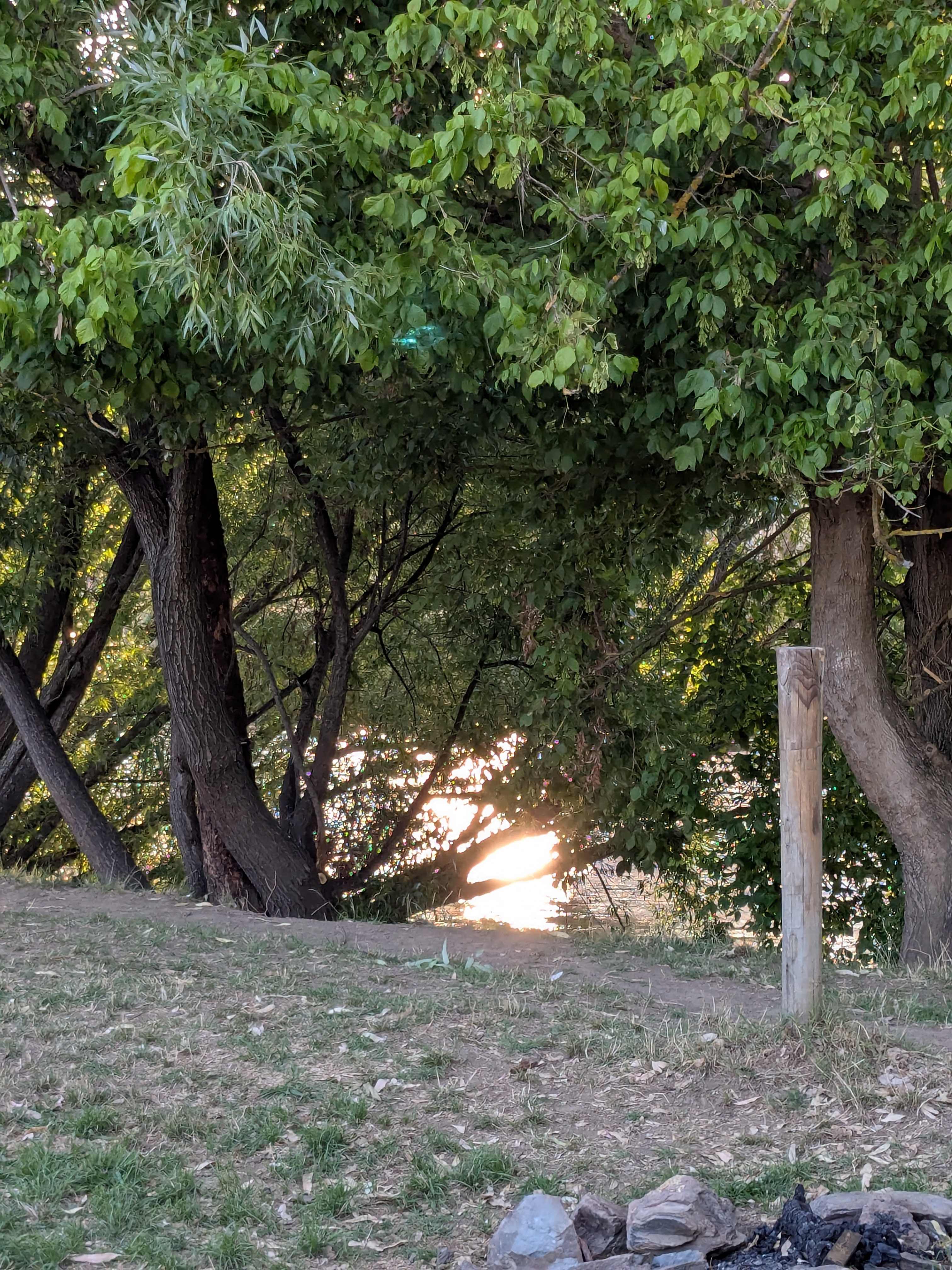 Bahwidgee on Tumut River