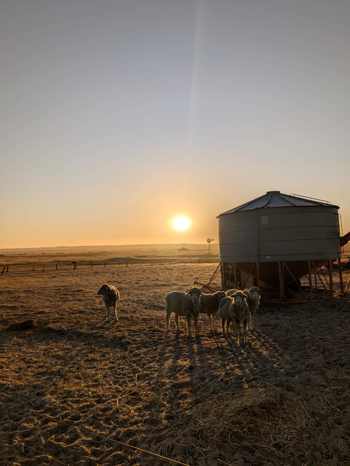 Nambung Station Stay