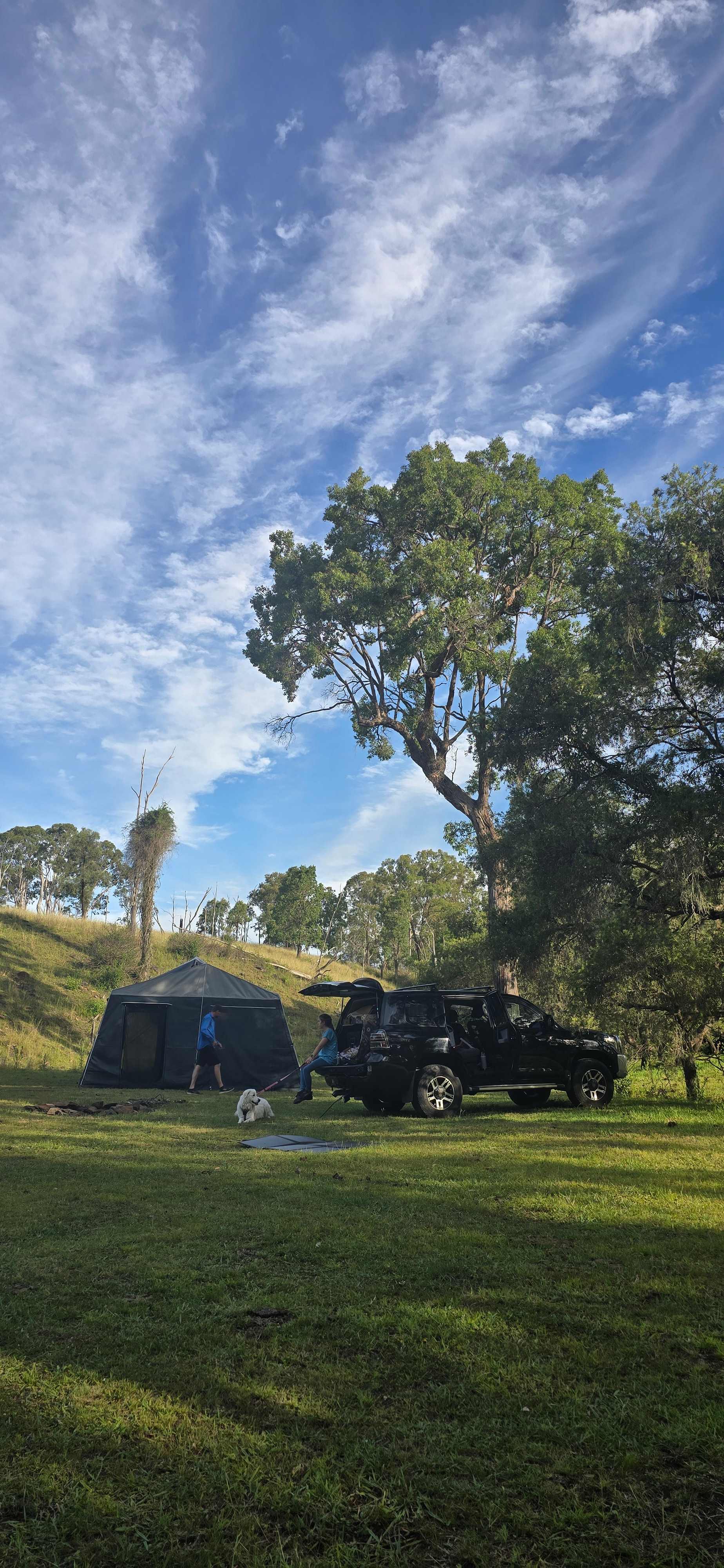 Tinara, 200 acre cattle farm 