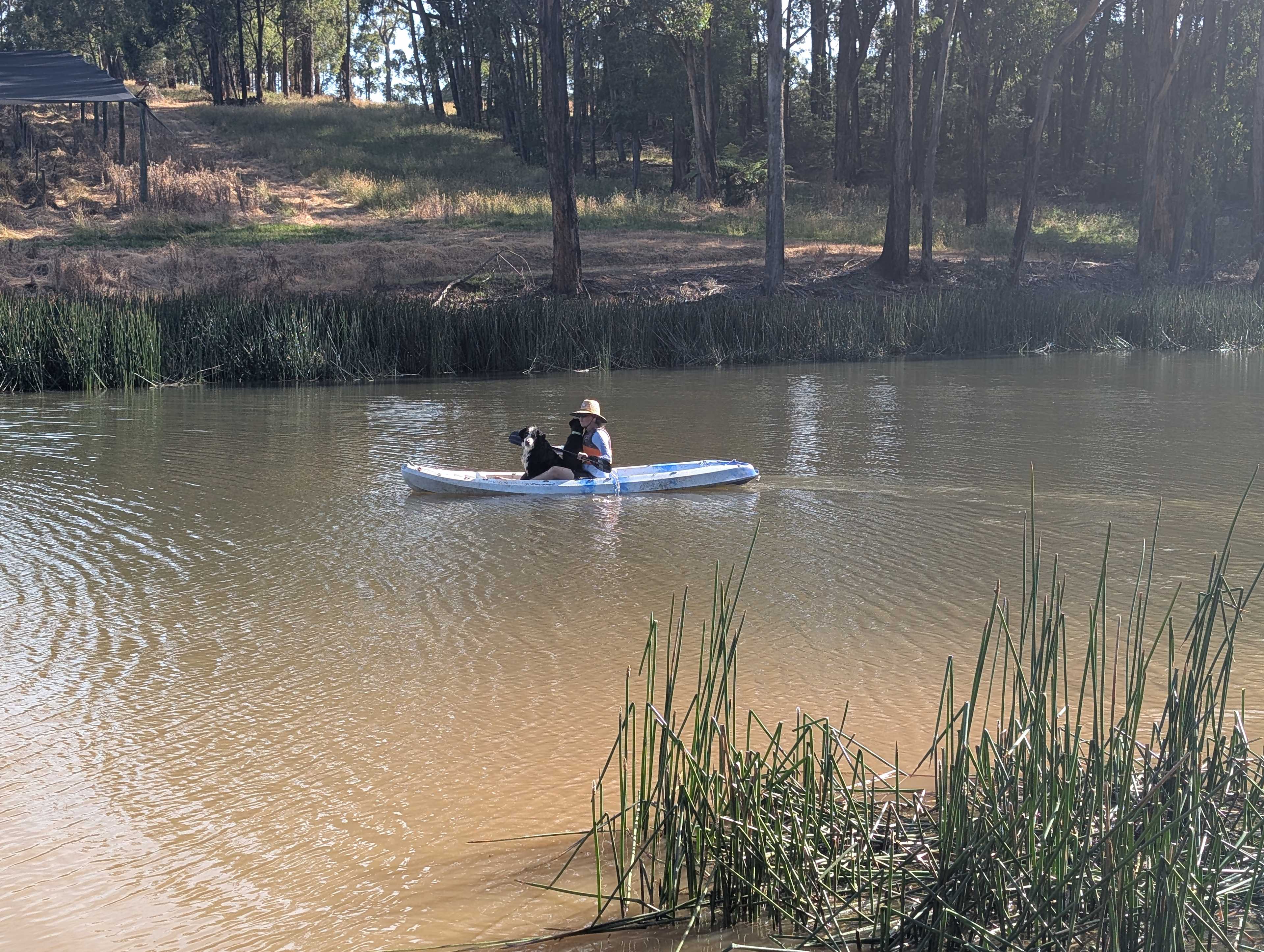 Nerrigundah Contrée Sauvage