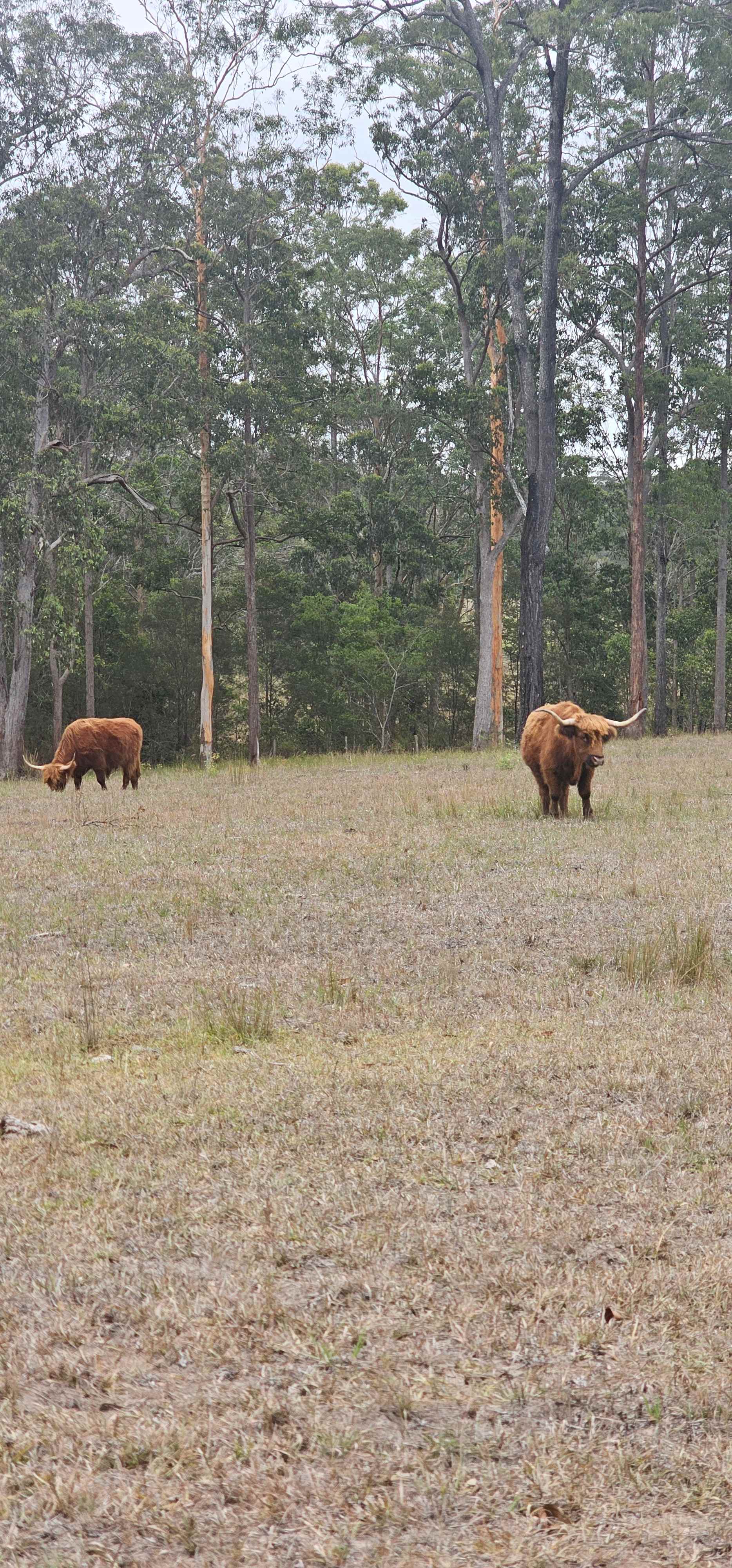 Crockers Creek Hideaway Farm