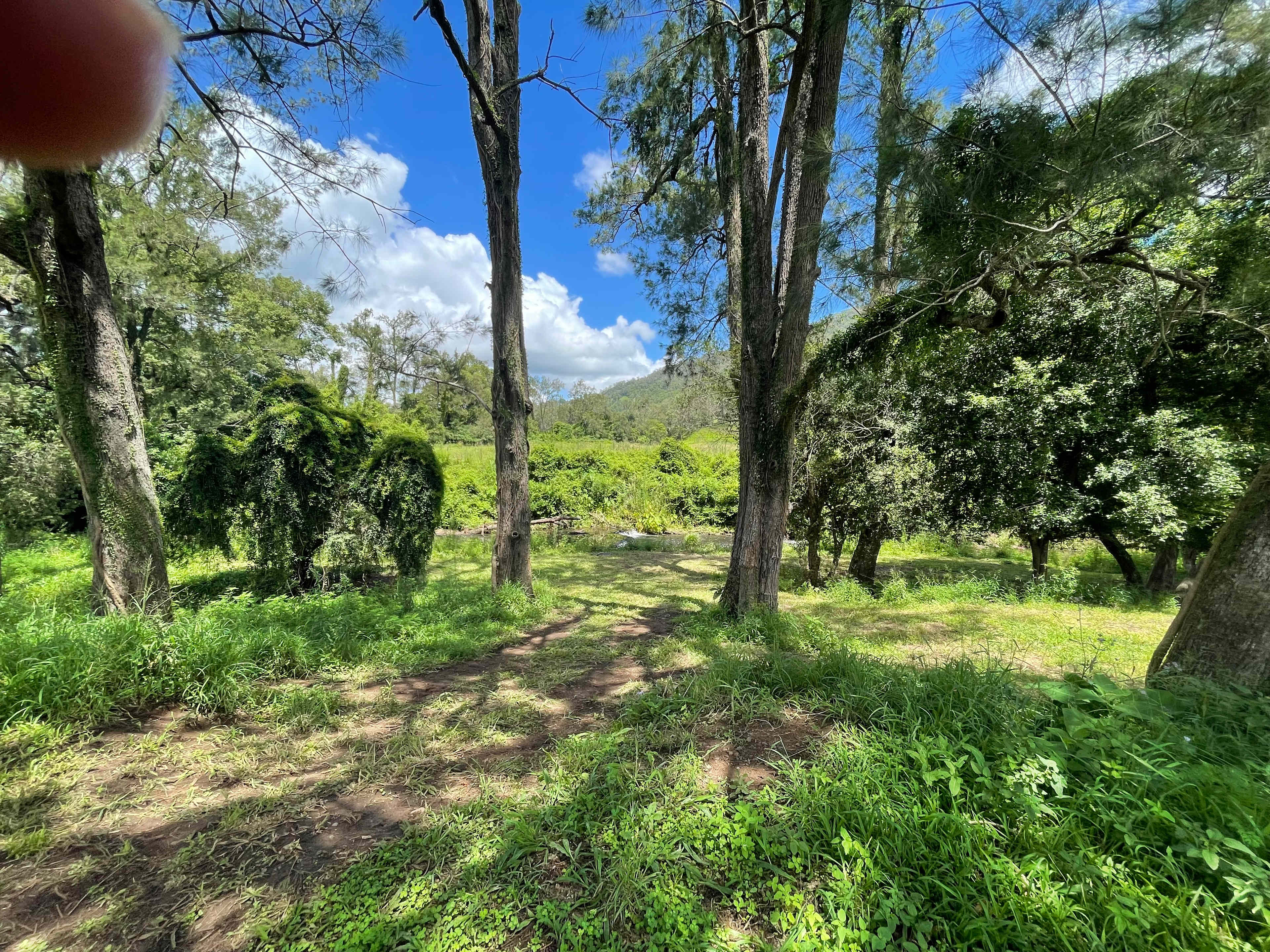 Border Ranges Pastoral