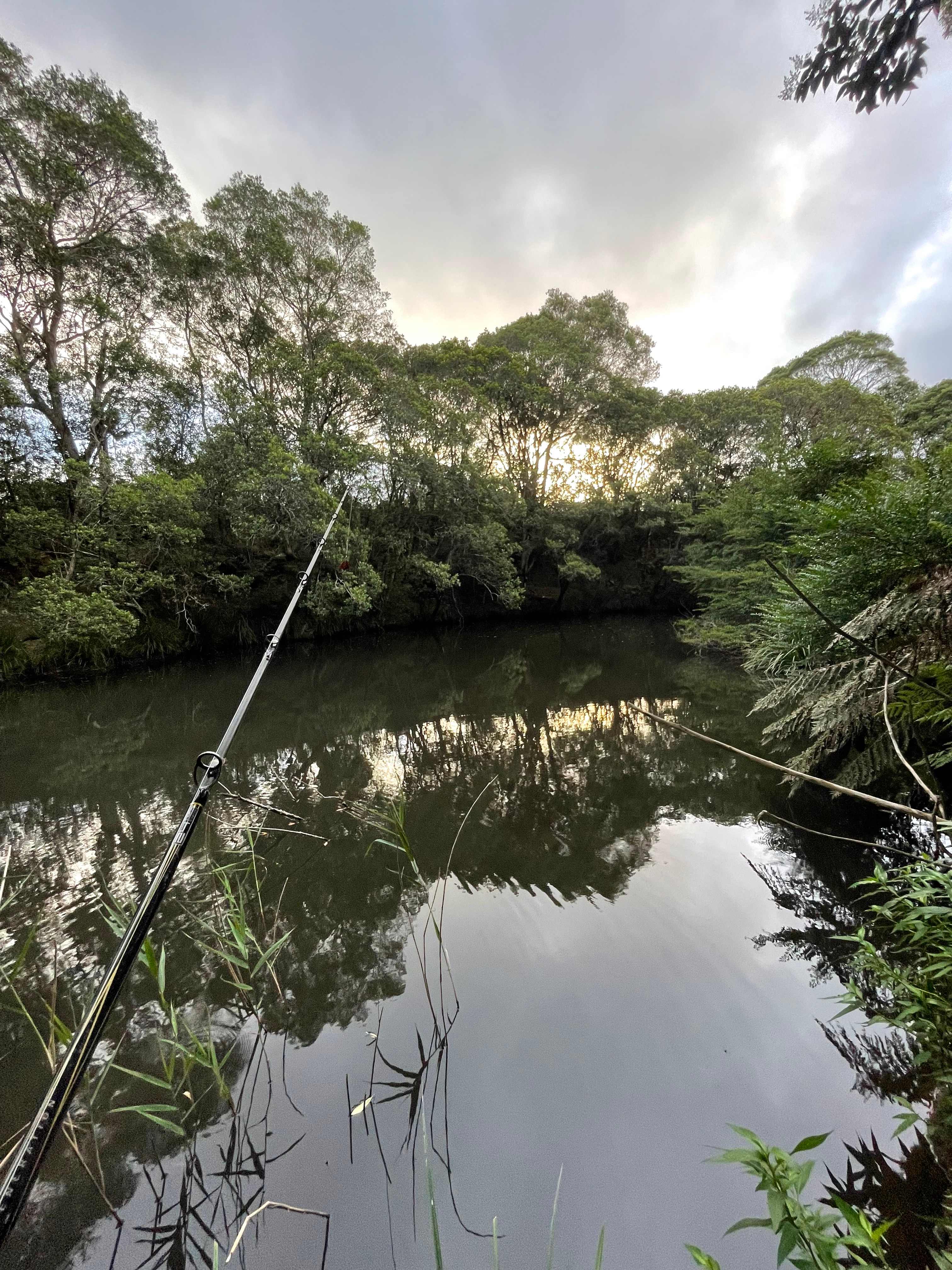 Little Plain Hall Grounds
