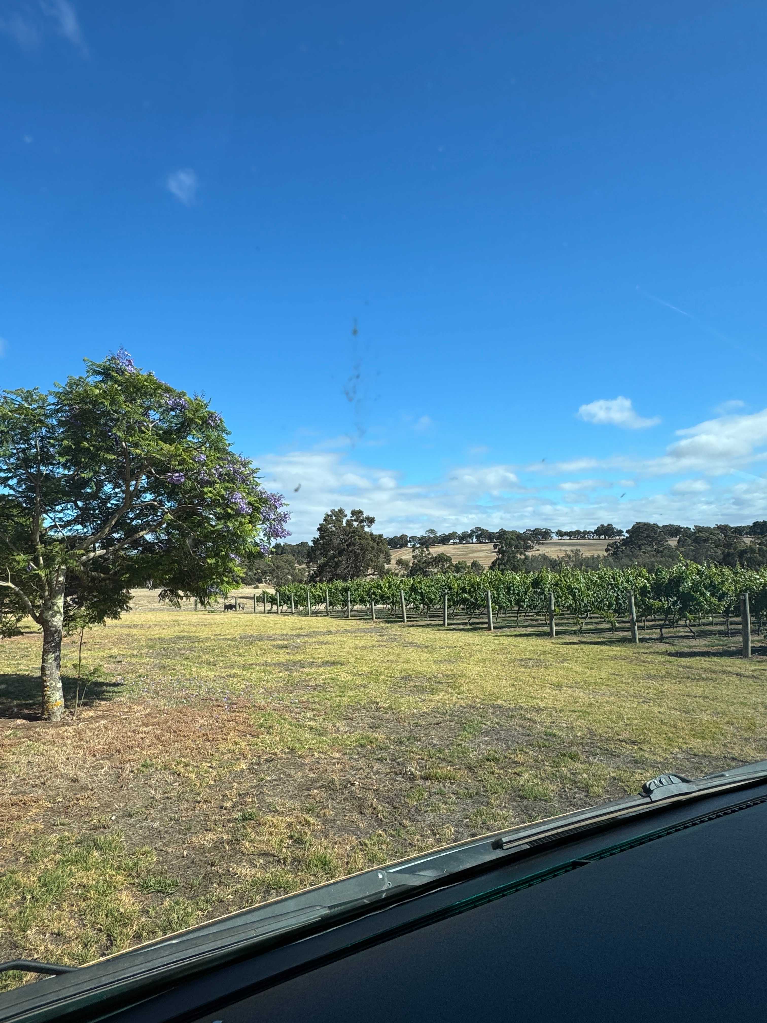 Mondurup Escape - Kendenup