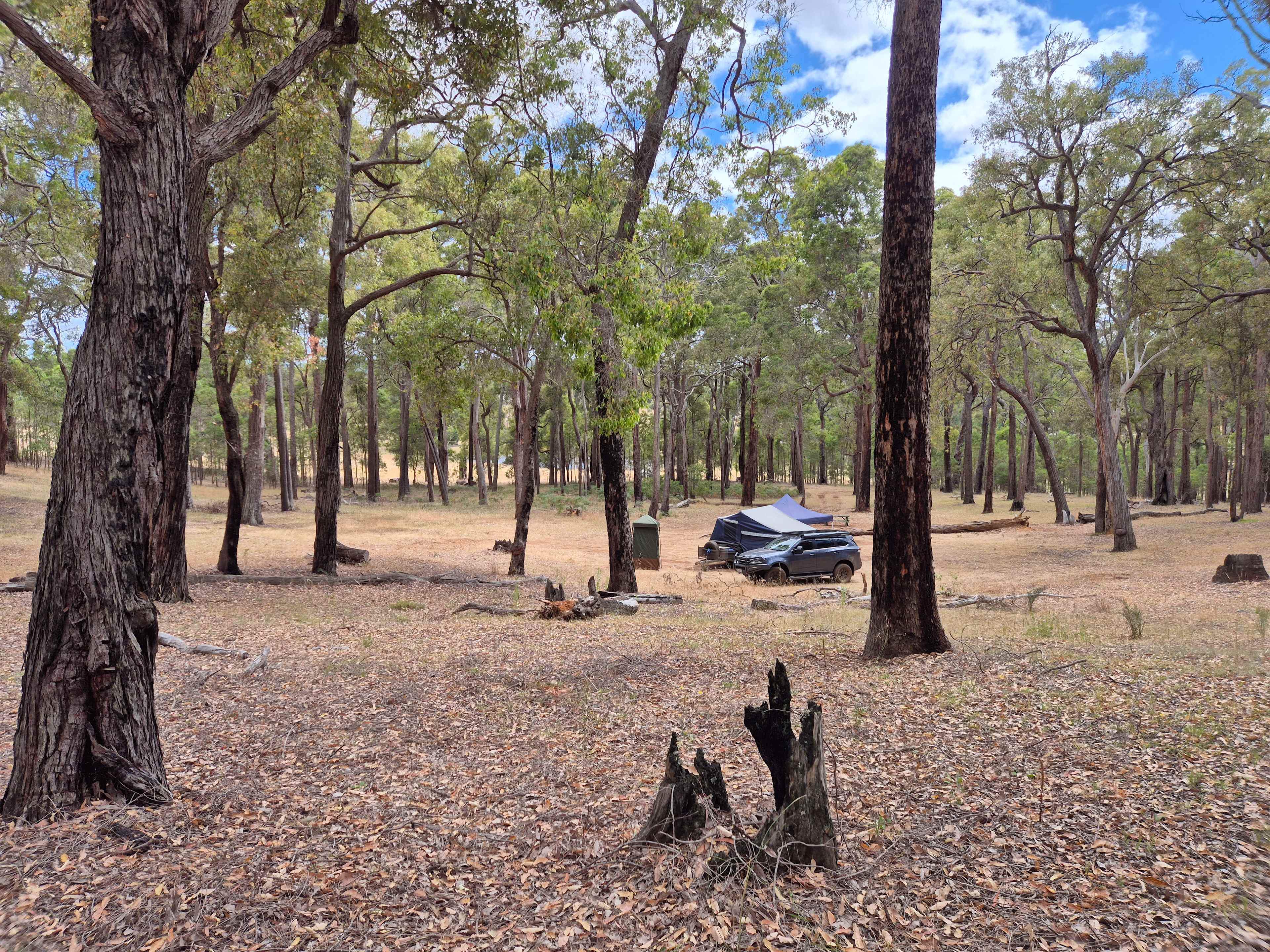 Parkland Bush Camp Mapanap
