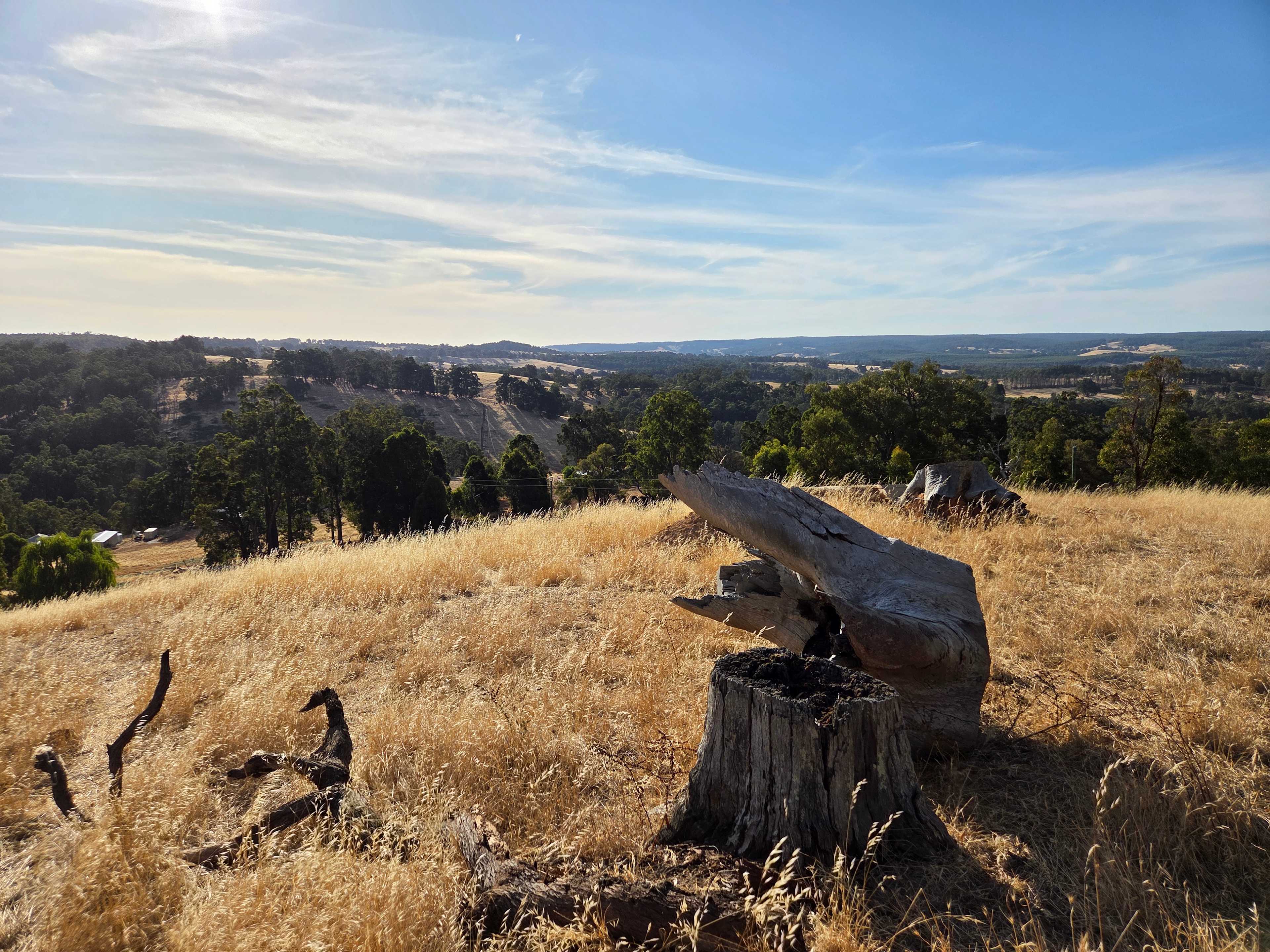 Sunset Ridge Camp Sites