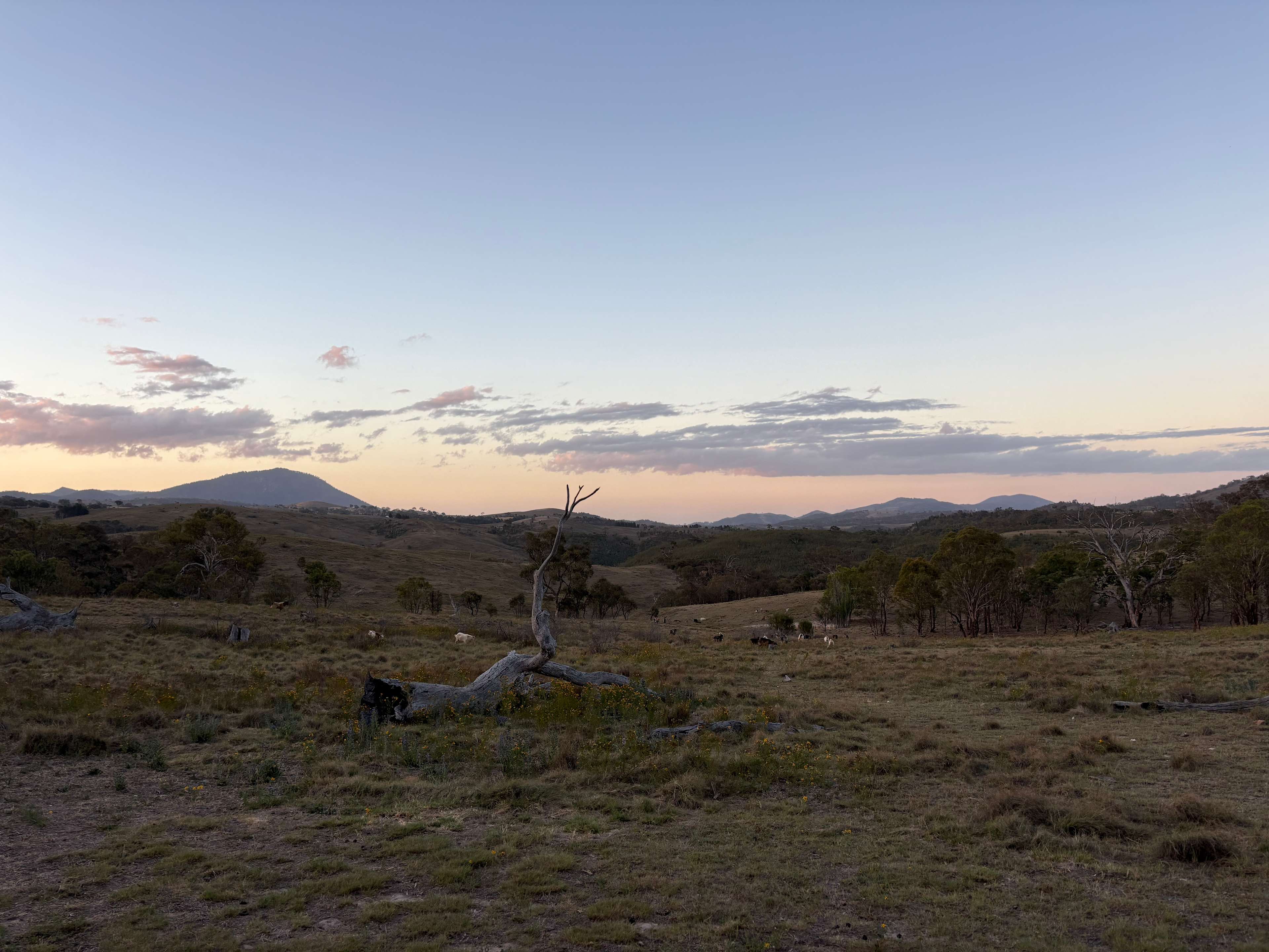 Themeda Farm Campground