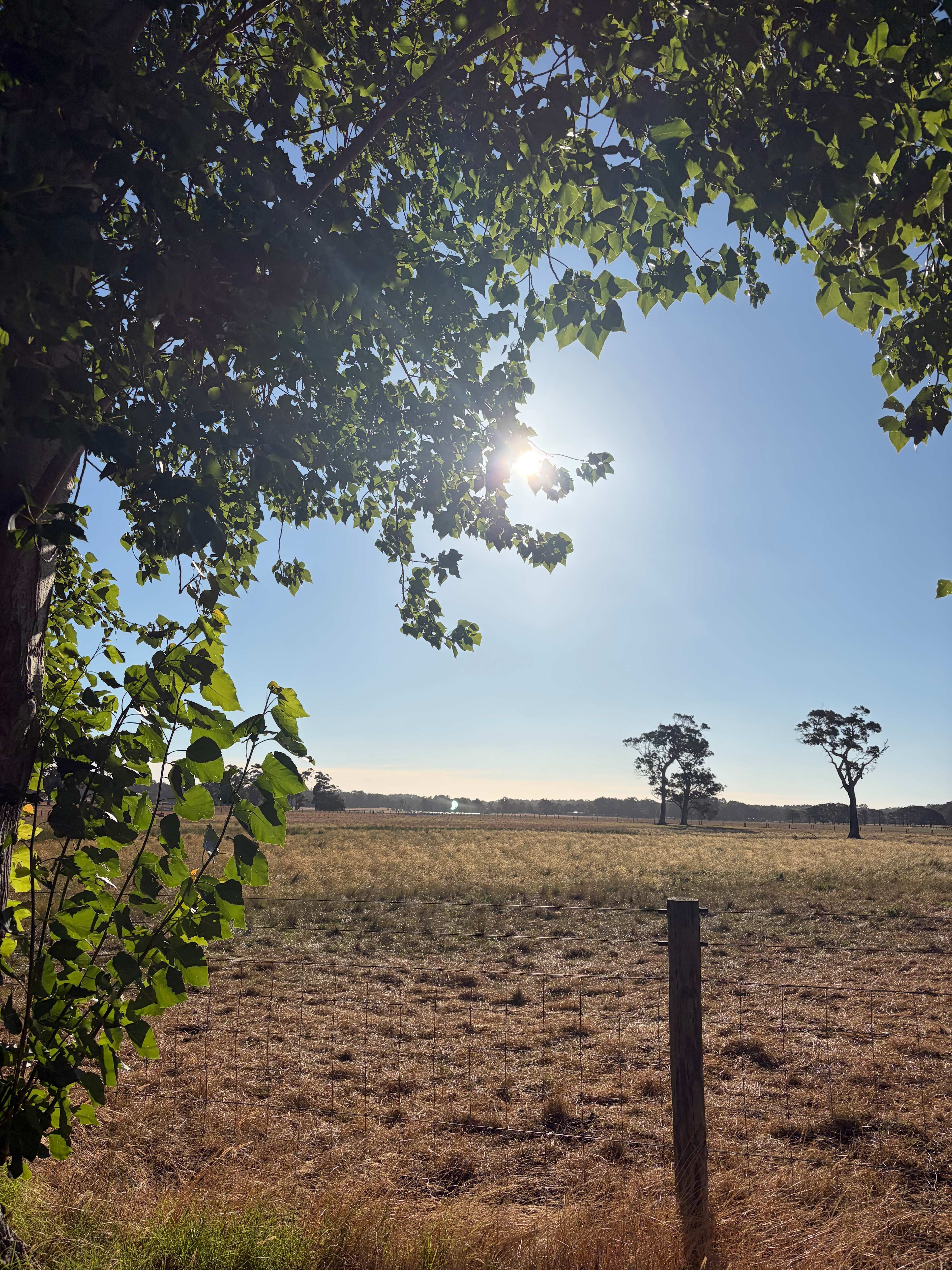 Jarvis Estate Winery & Camping