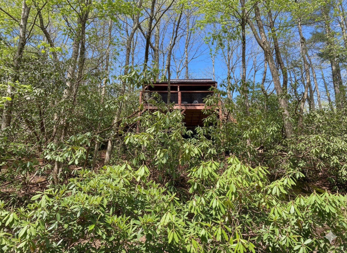 Treehouse #2 as seen from the gravel drive below