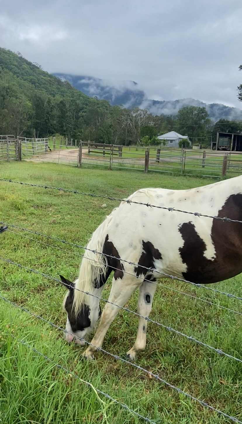 Crystal Creek Springs