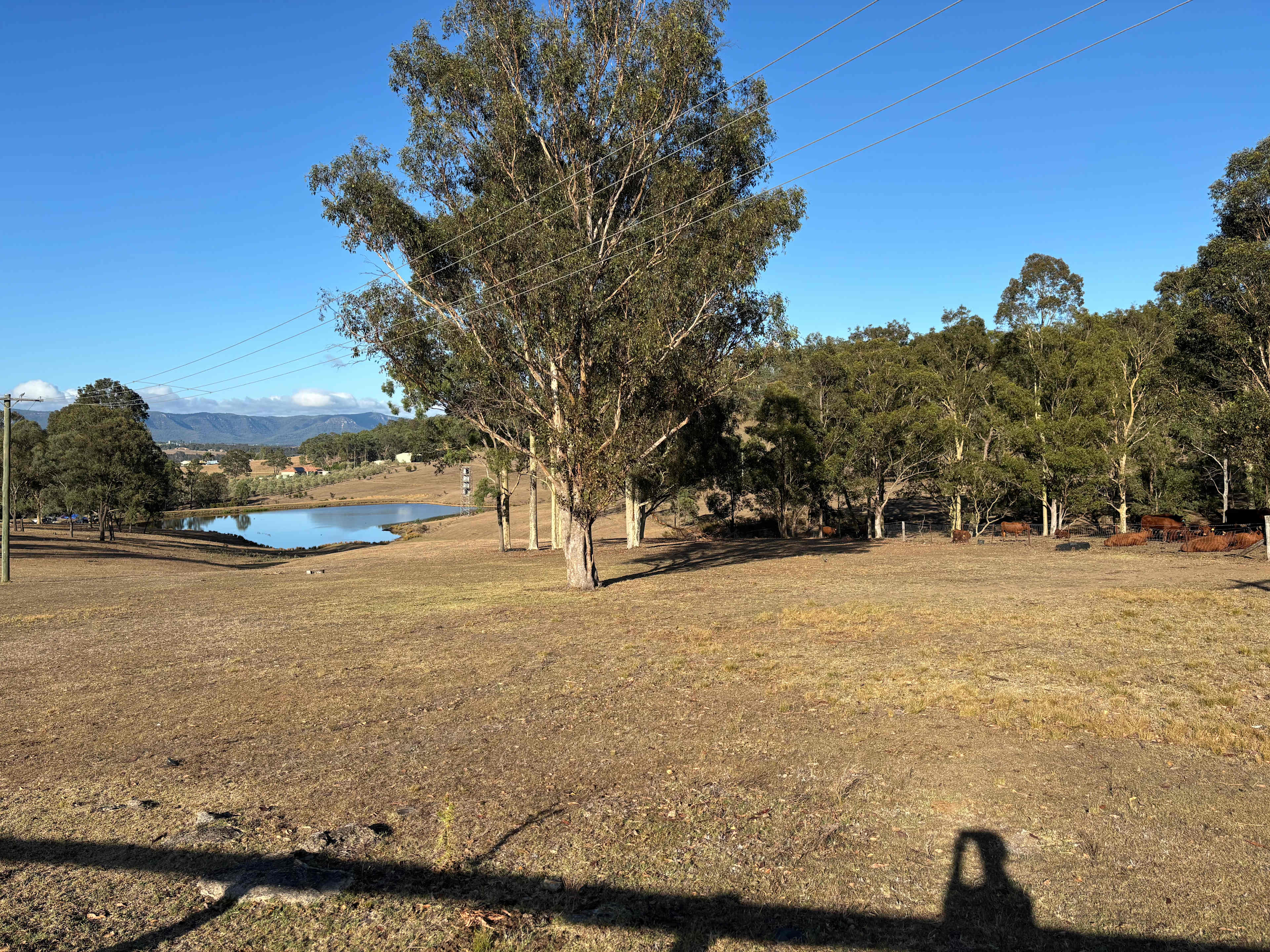 Lovedale Farm Stay  & Horseriding