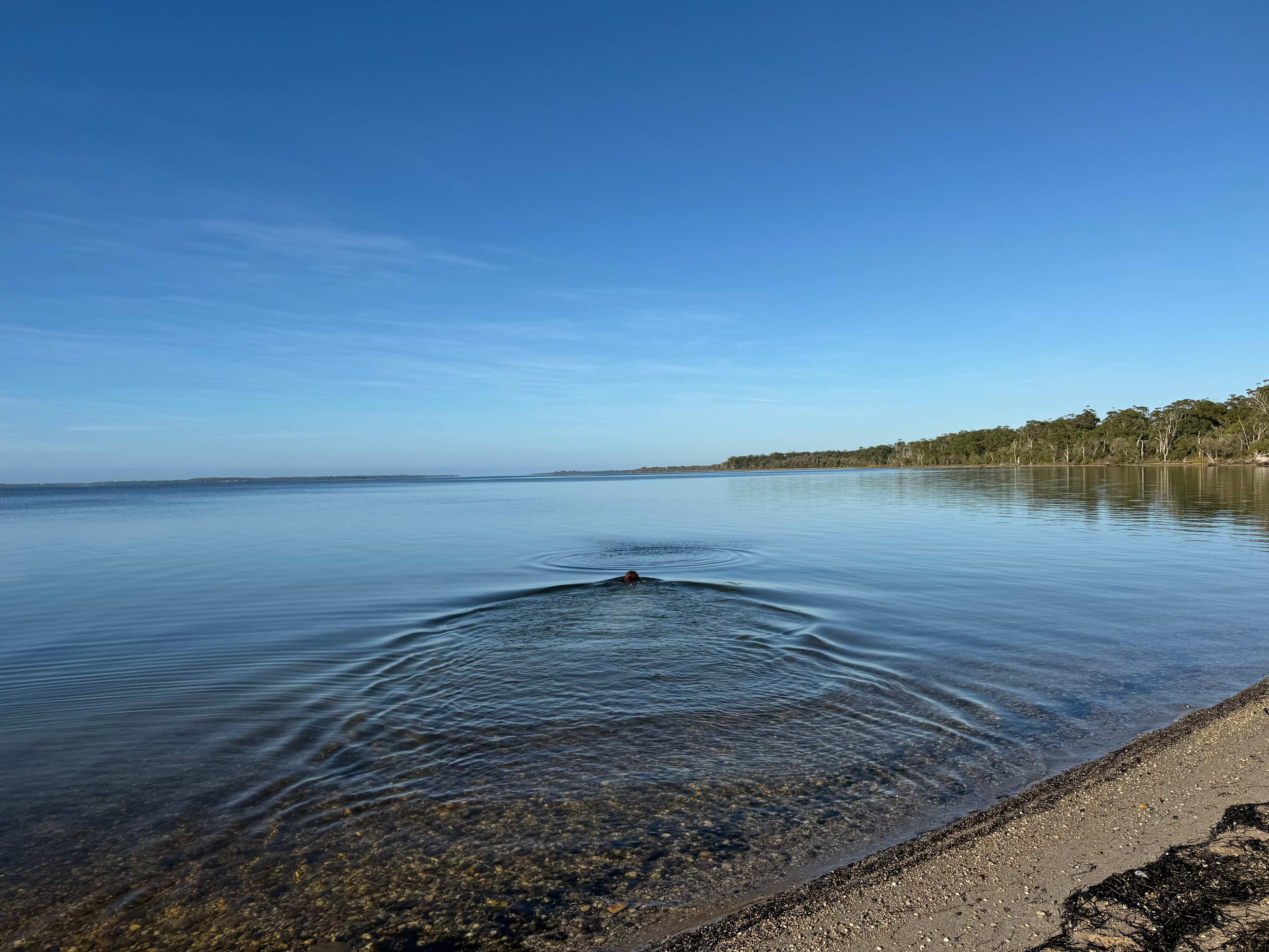 Raymond Island Retreat