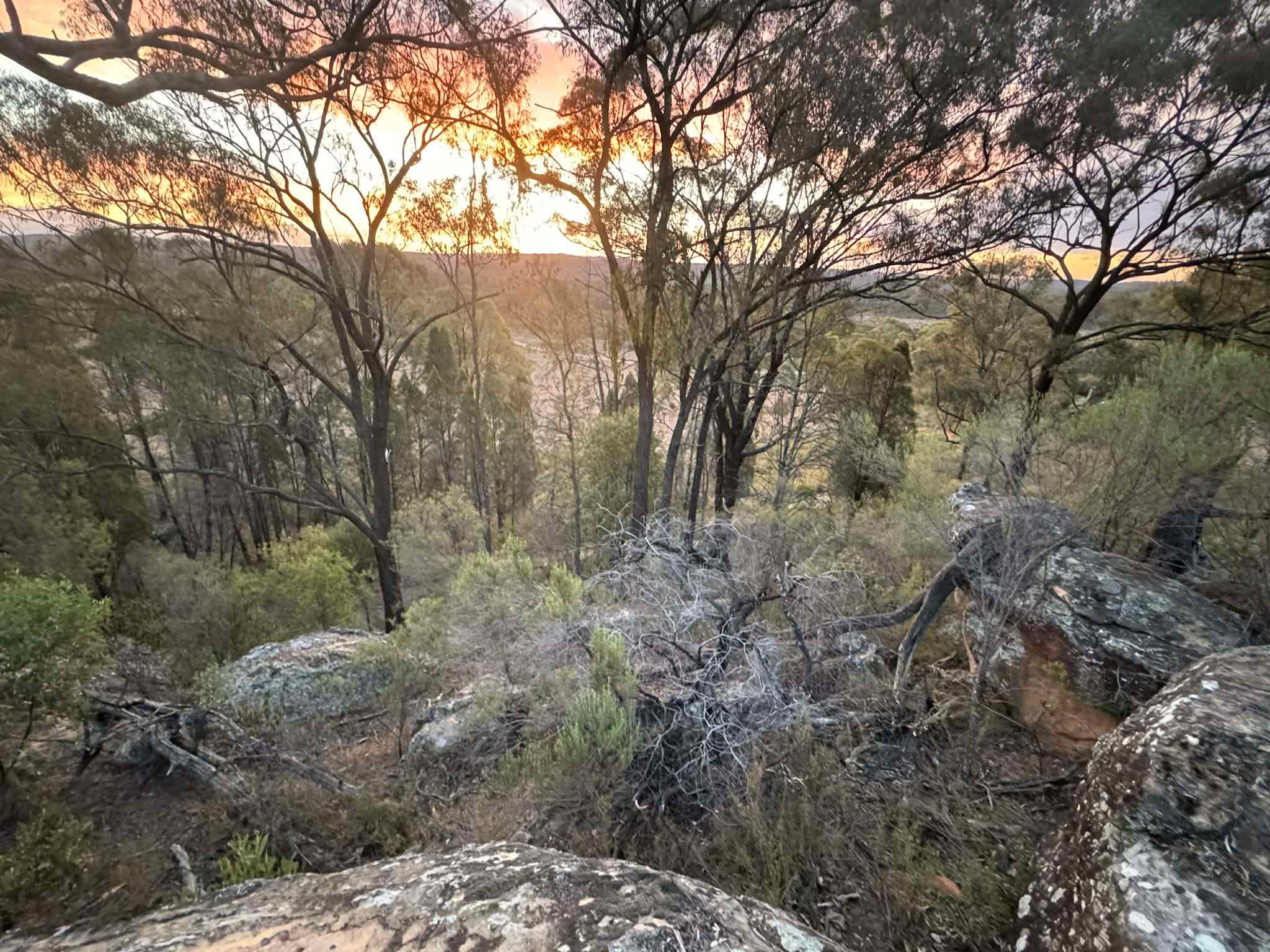 Hillside Camp on Bow River