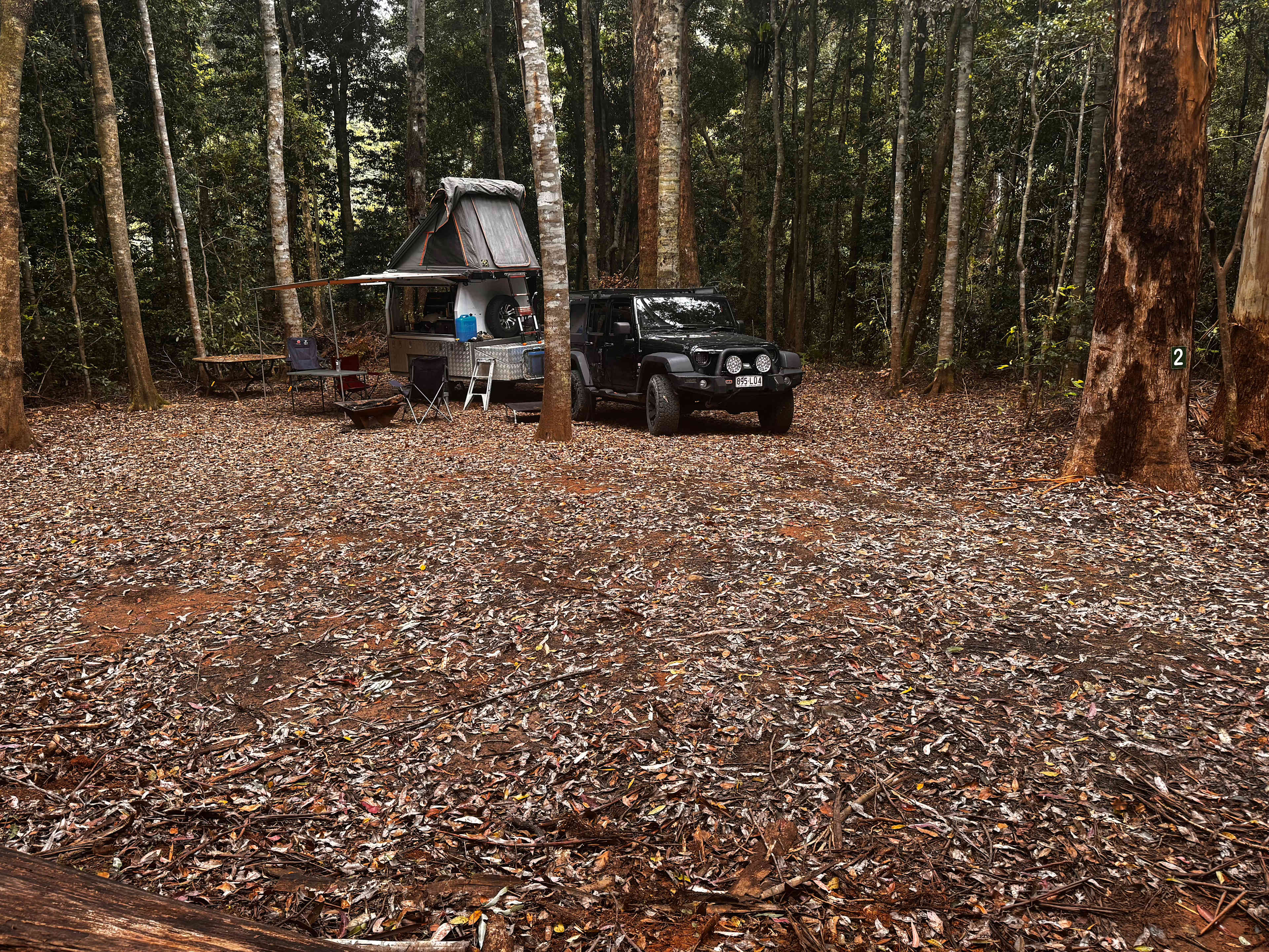 Frog Hollow Rainforest Camping