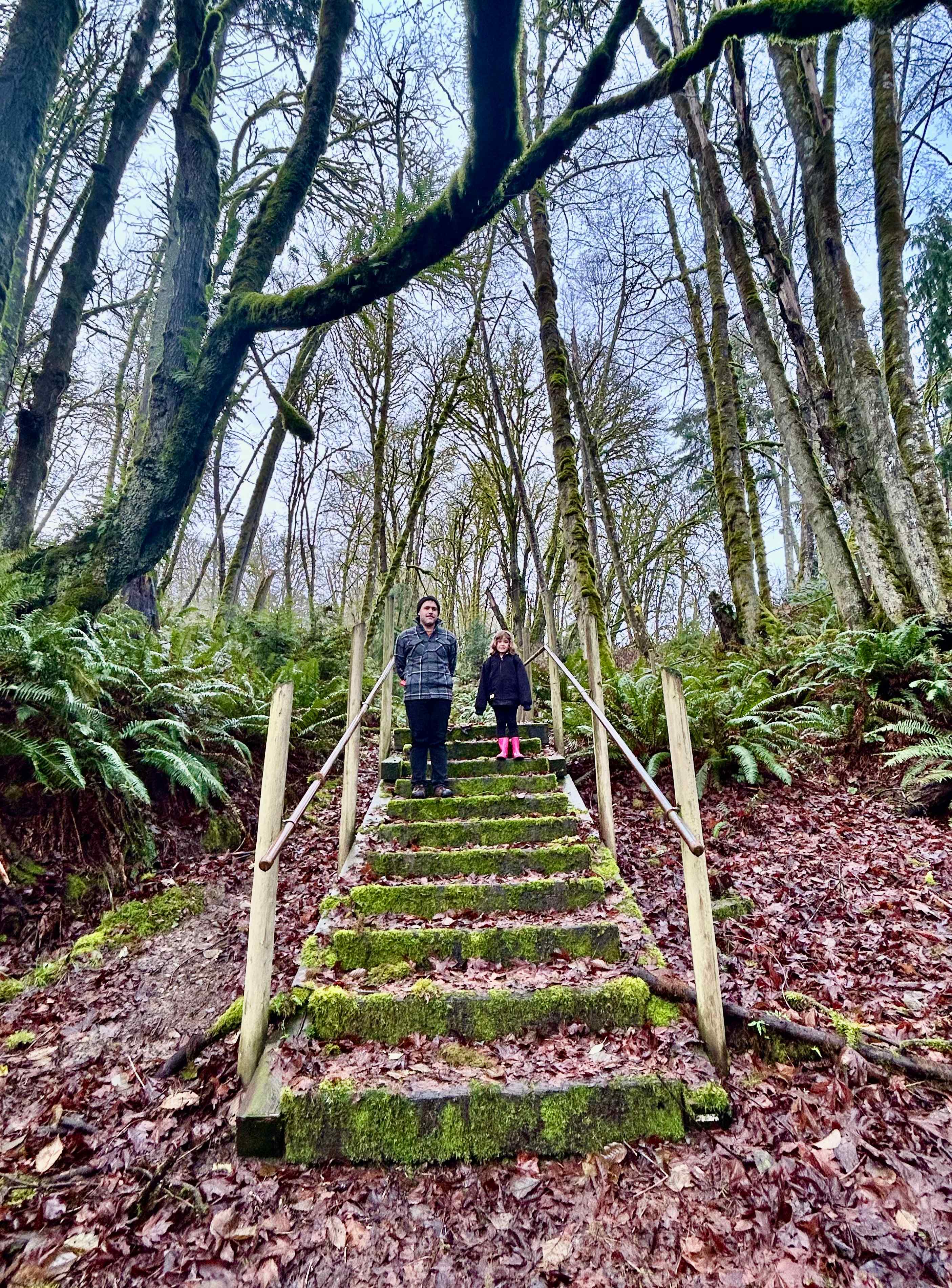 Stairs to private beach near cabin 