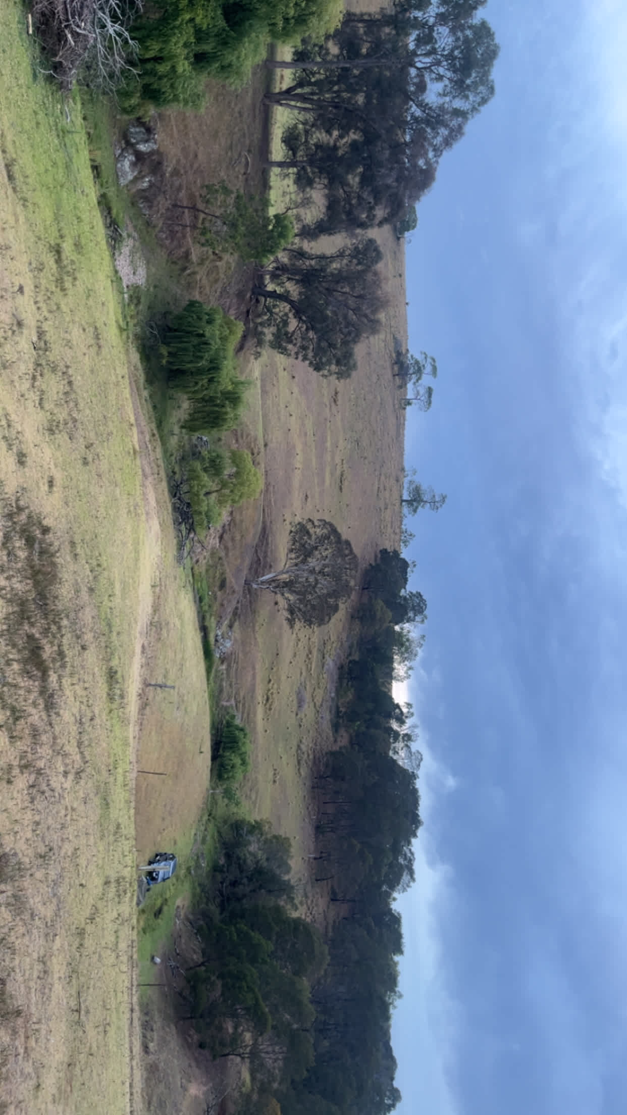 Overview of the creek campsite