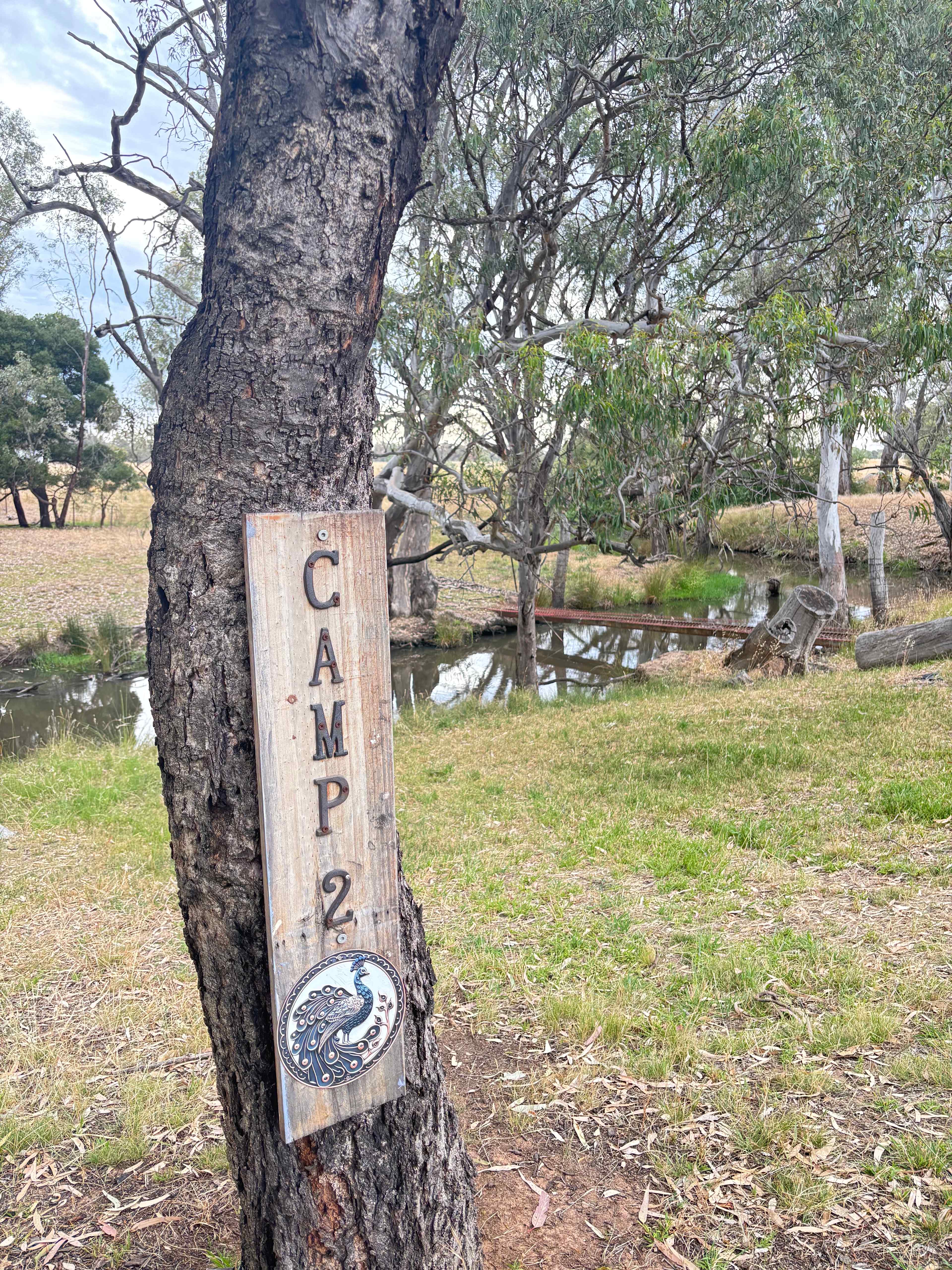 Hidden Beauty on Broken Creek