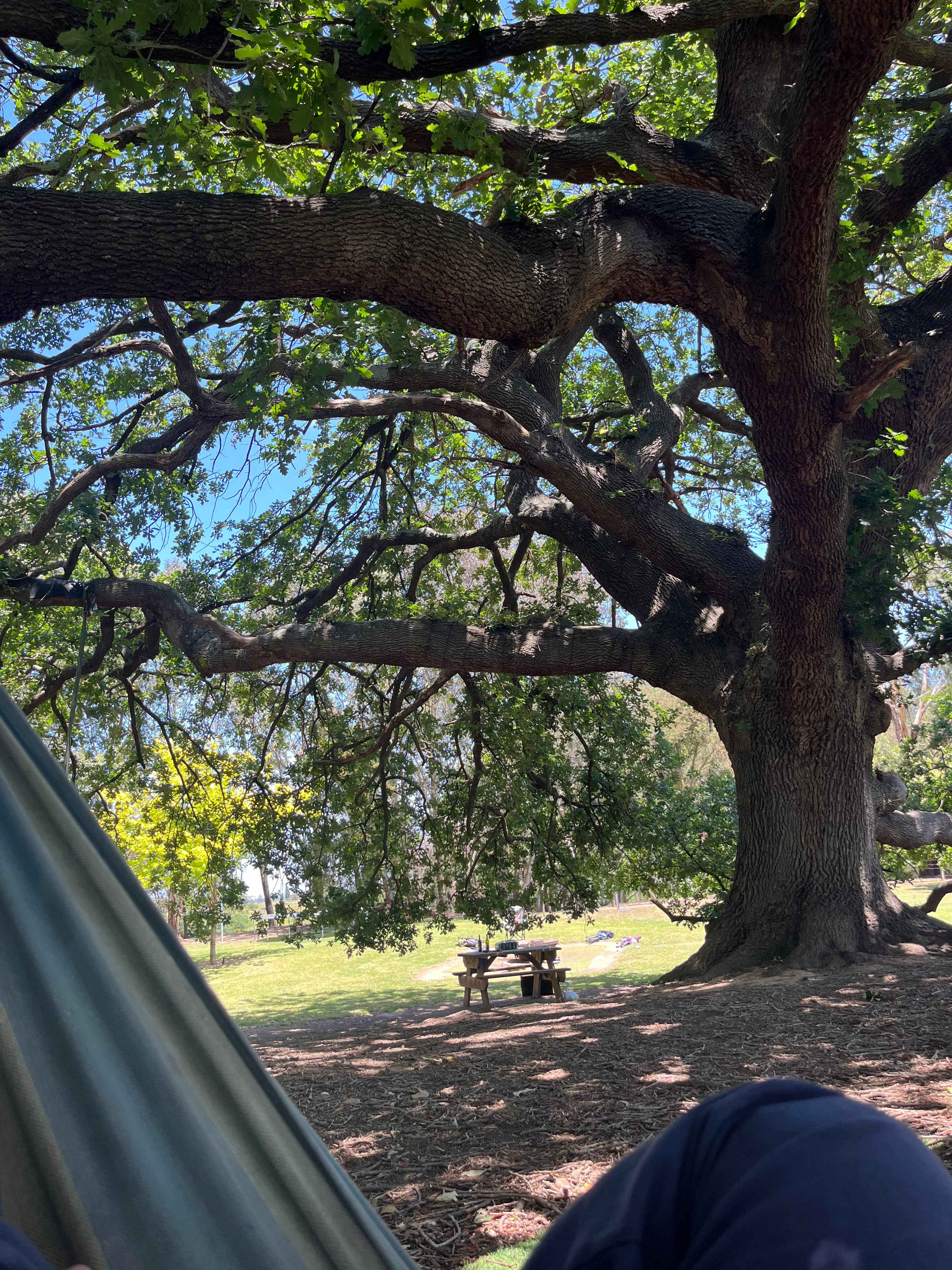RiverOak Camping Heyfield - Gippsland Victoria