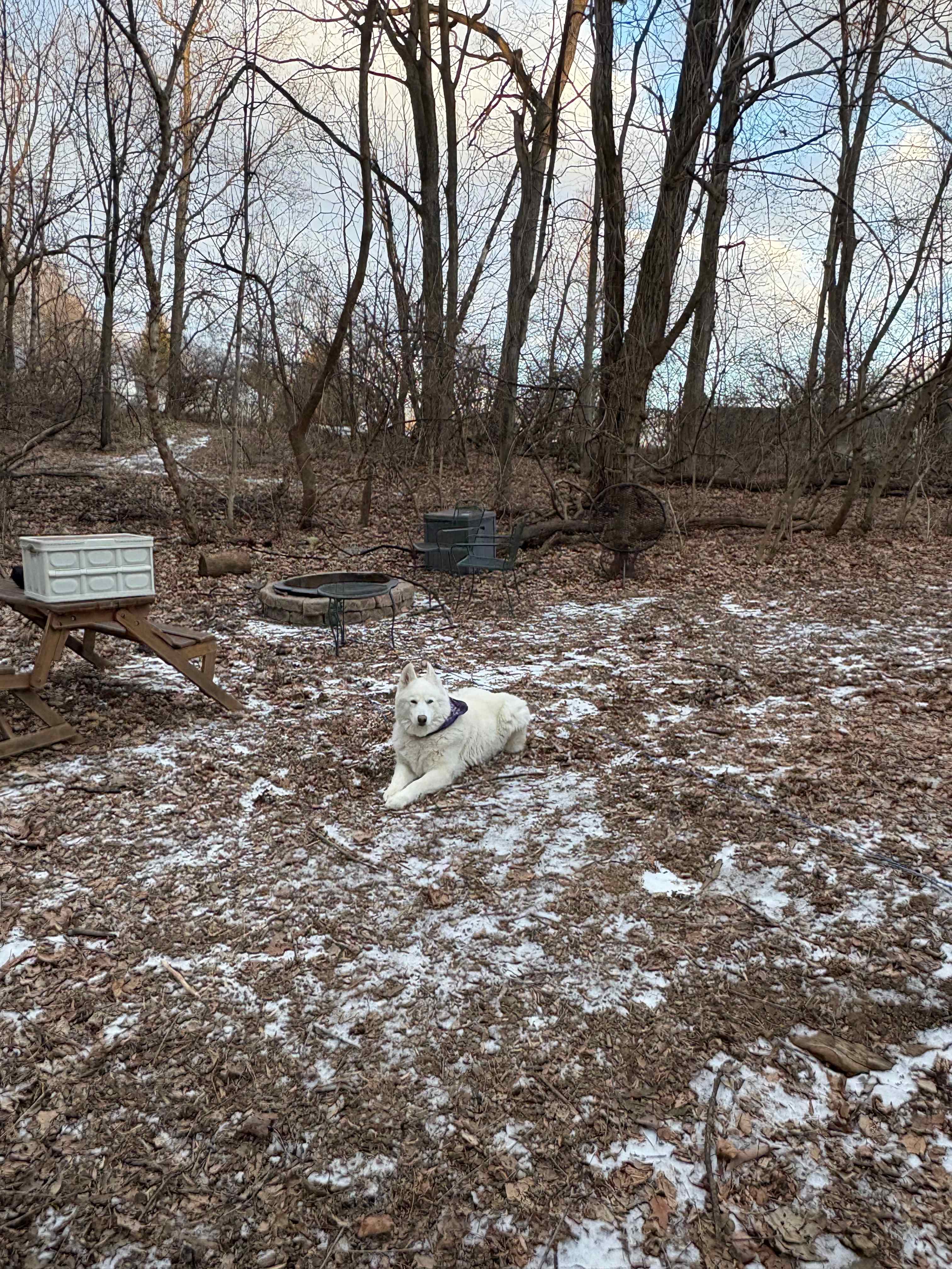 Solace Cabinette/Paix Cabinette